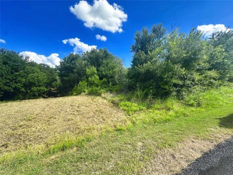 Lots 47 & 79 Bluffview Estates Road Corsicana TX 75109