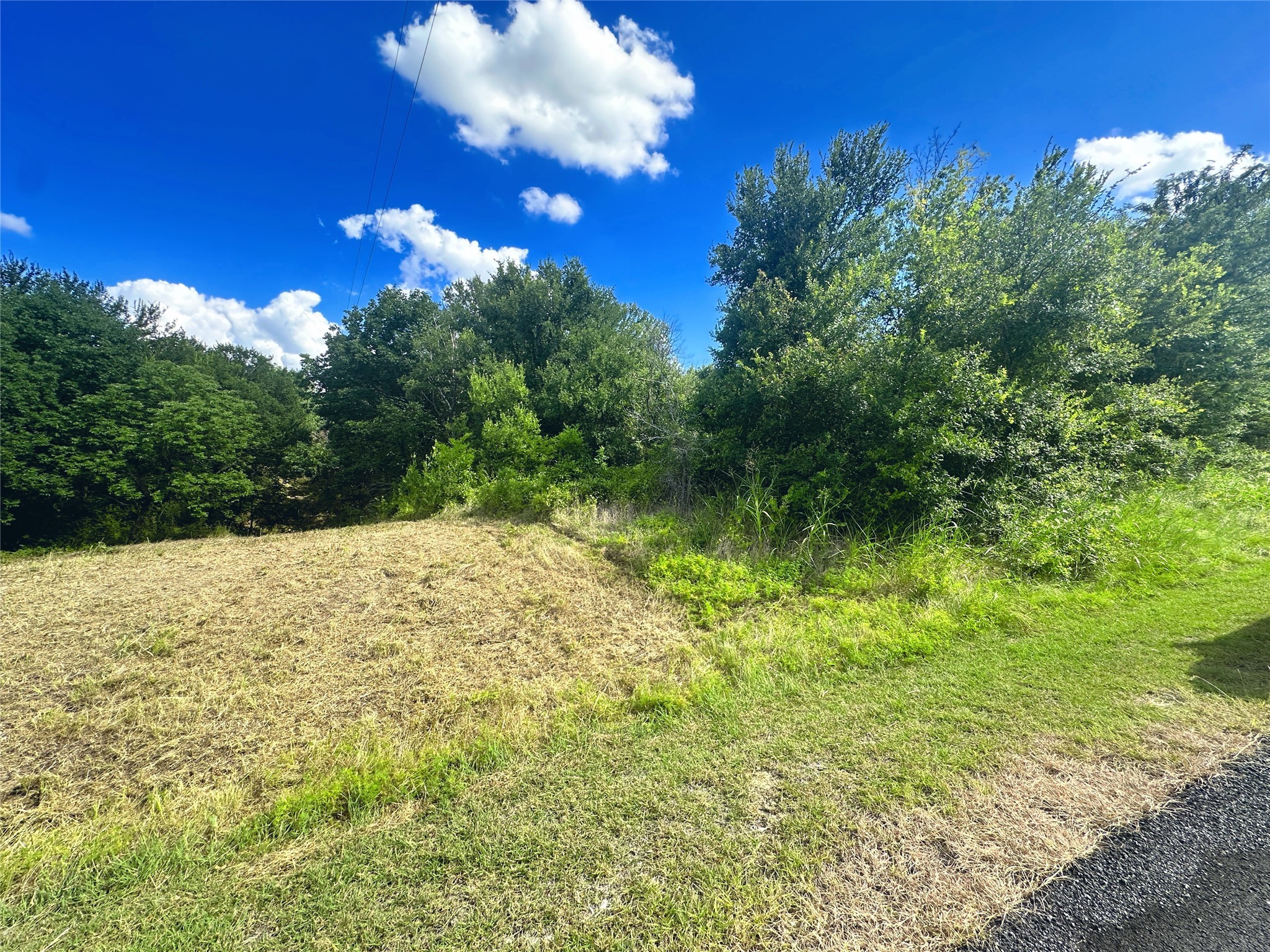 Lots 47 & 79 Bluffview Estates Road Corsicana TX 75109
