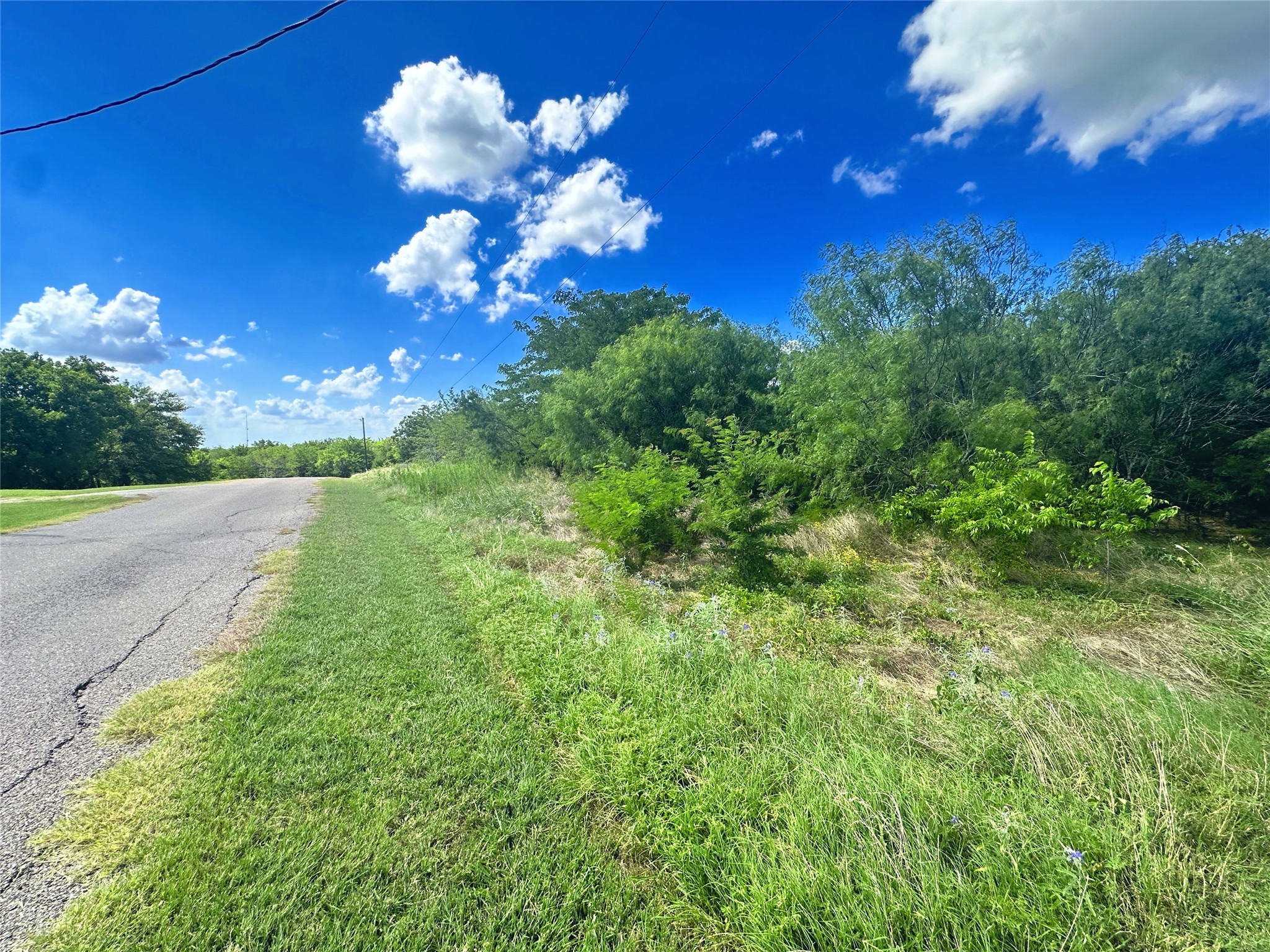 Lots 47 & 79 Bluffview Estates Road Corsicana TX 75109