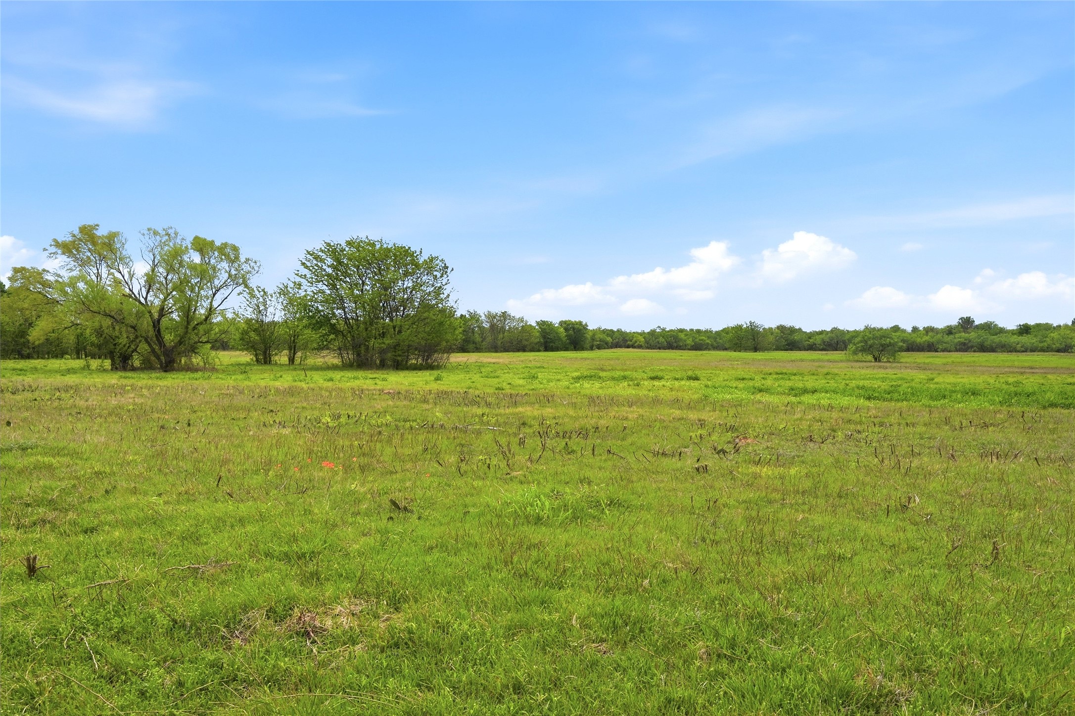 656 Southeast Loop Denison TX 75020