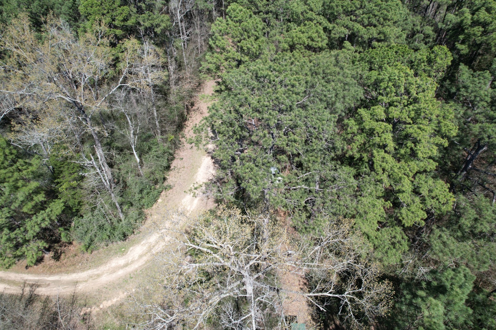 Tbd Billy Ray Road Marshall TX 75672