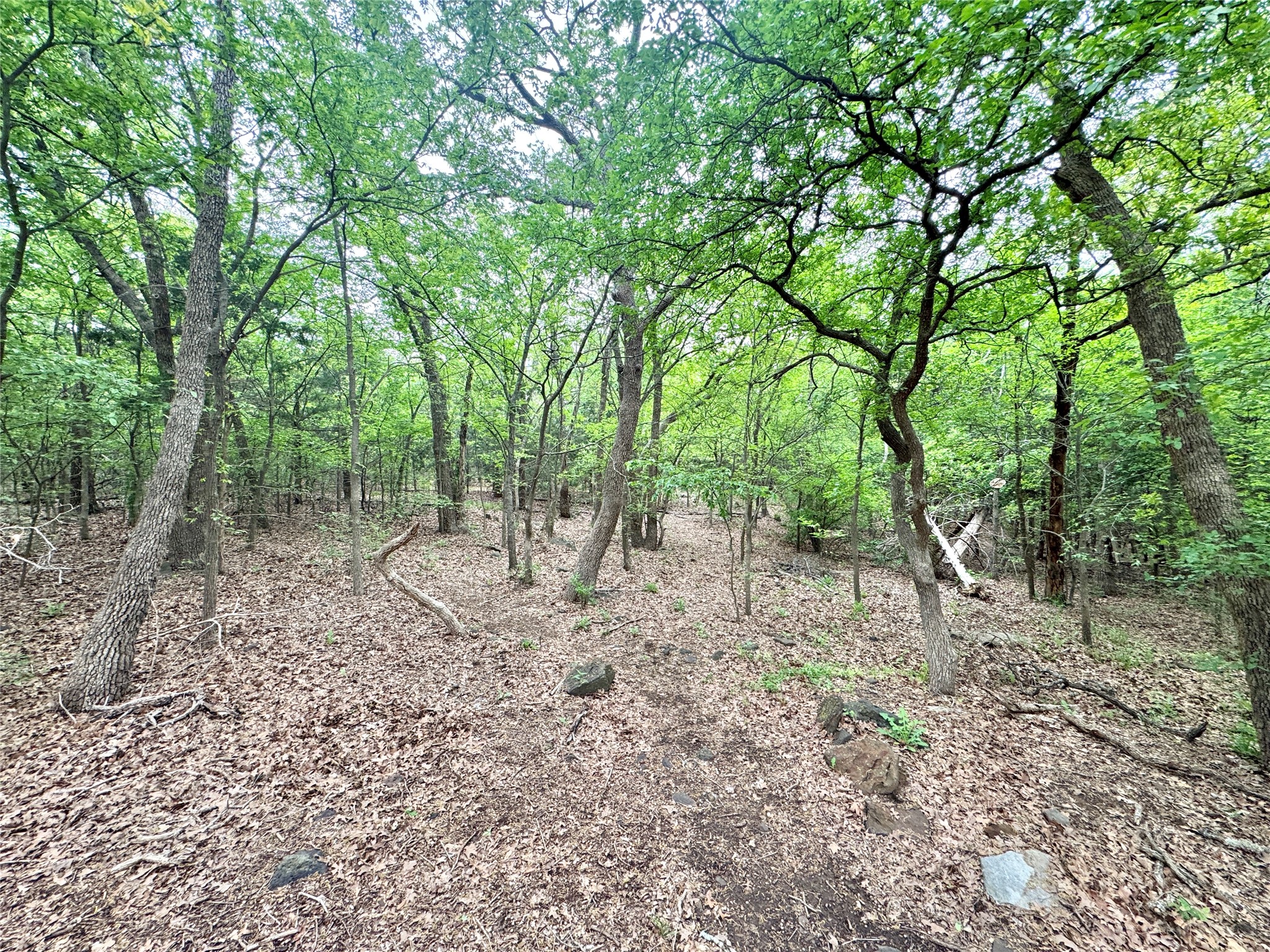 320 Hillside Lane Valley View TX 76272