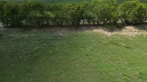 Lot 1 Cr 1610 Lone Oak TX 75453