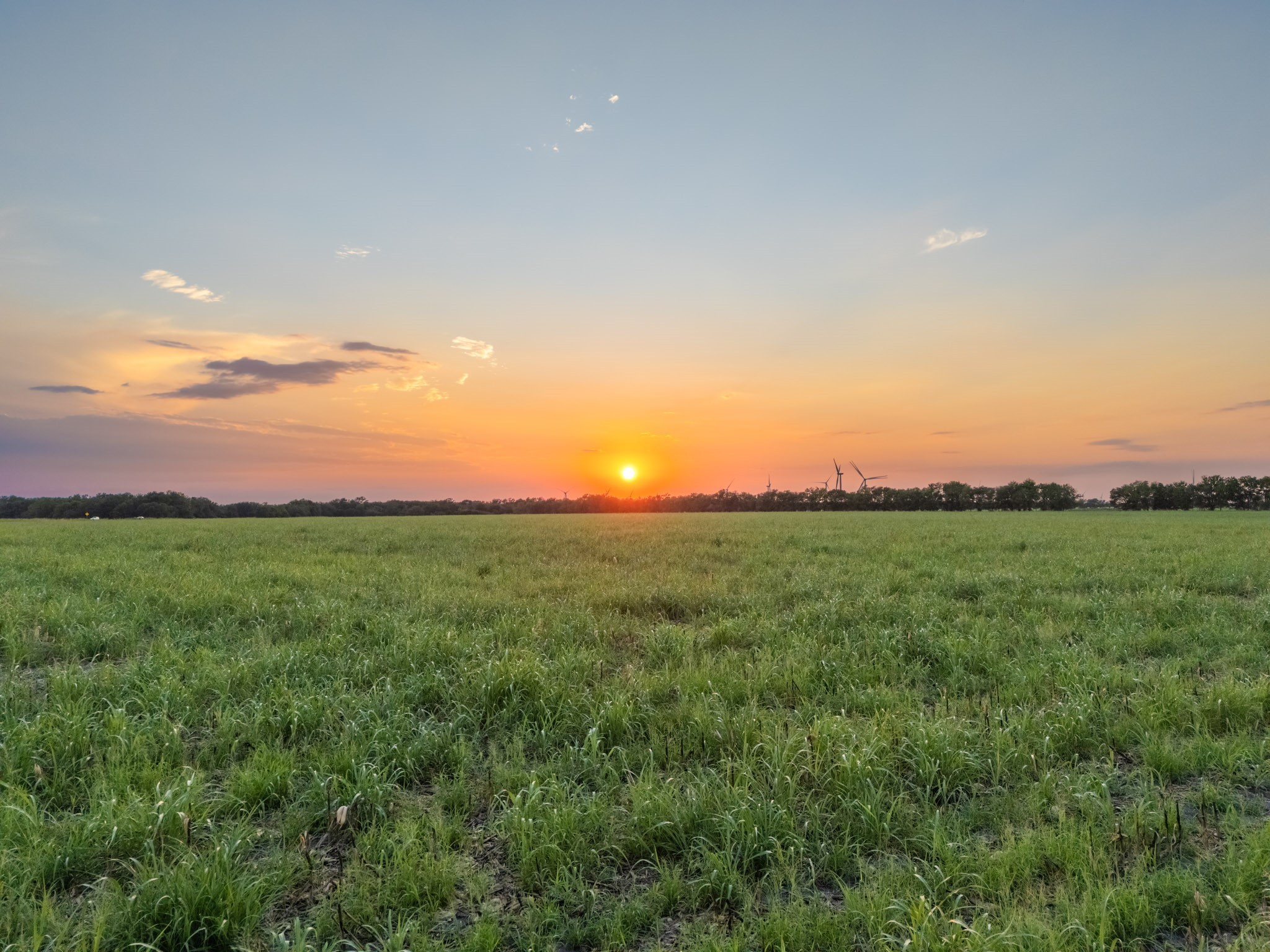 Tbd W State Highway 164 Mart TX 76664