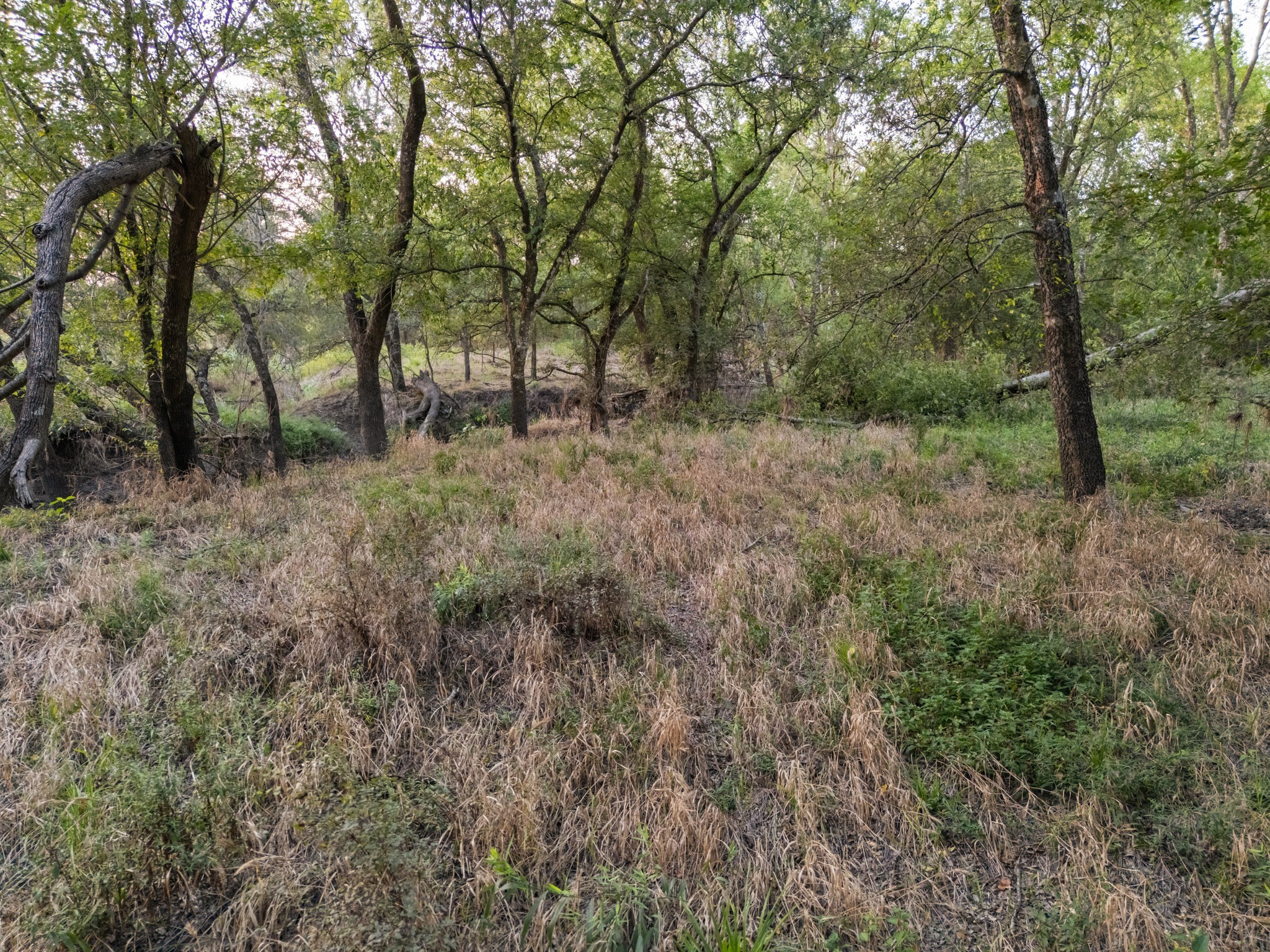 Tbd W State Highway 164 Mart TX 76664