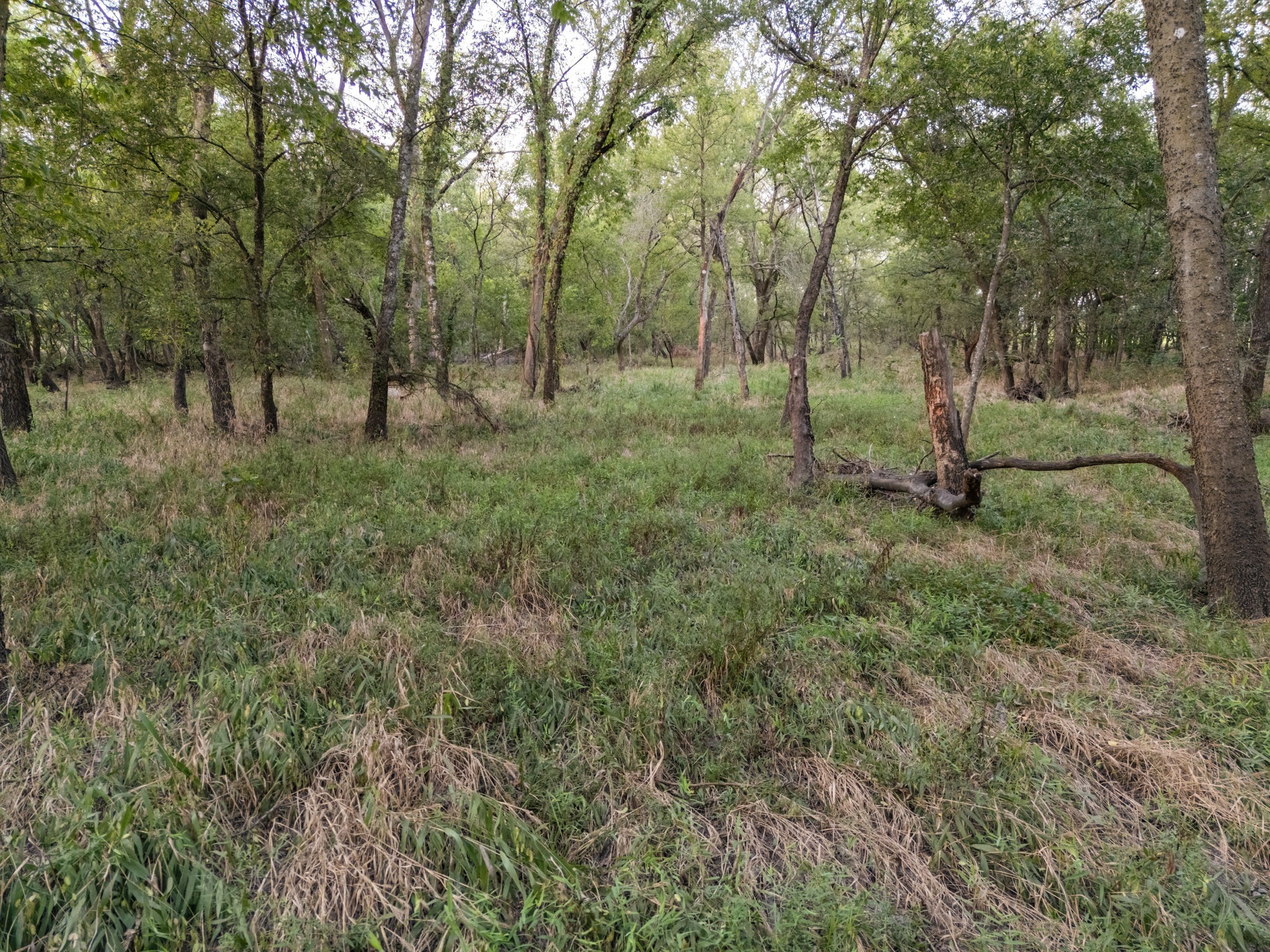 Tbd W State Highway 164 Mart TX 76664