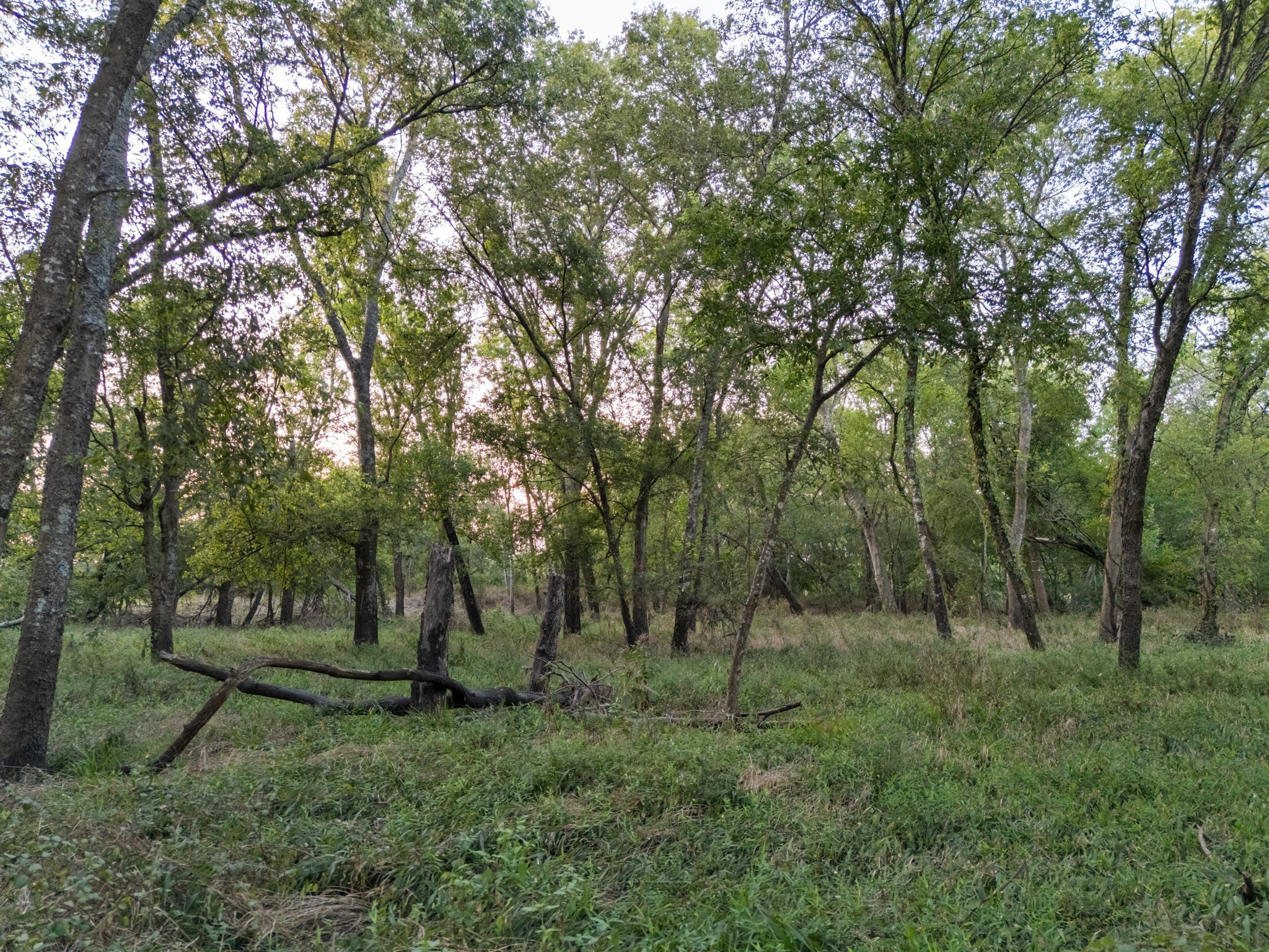 Tbd W State Highway 164 Mart TX 76664