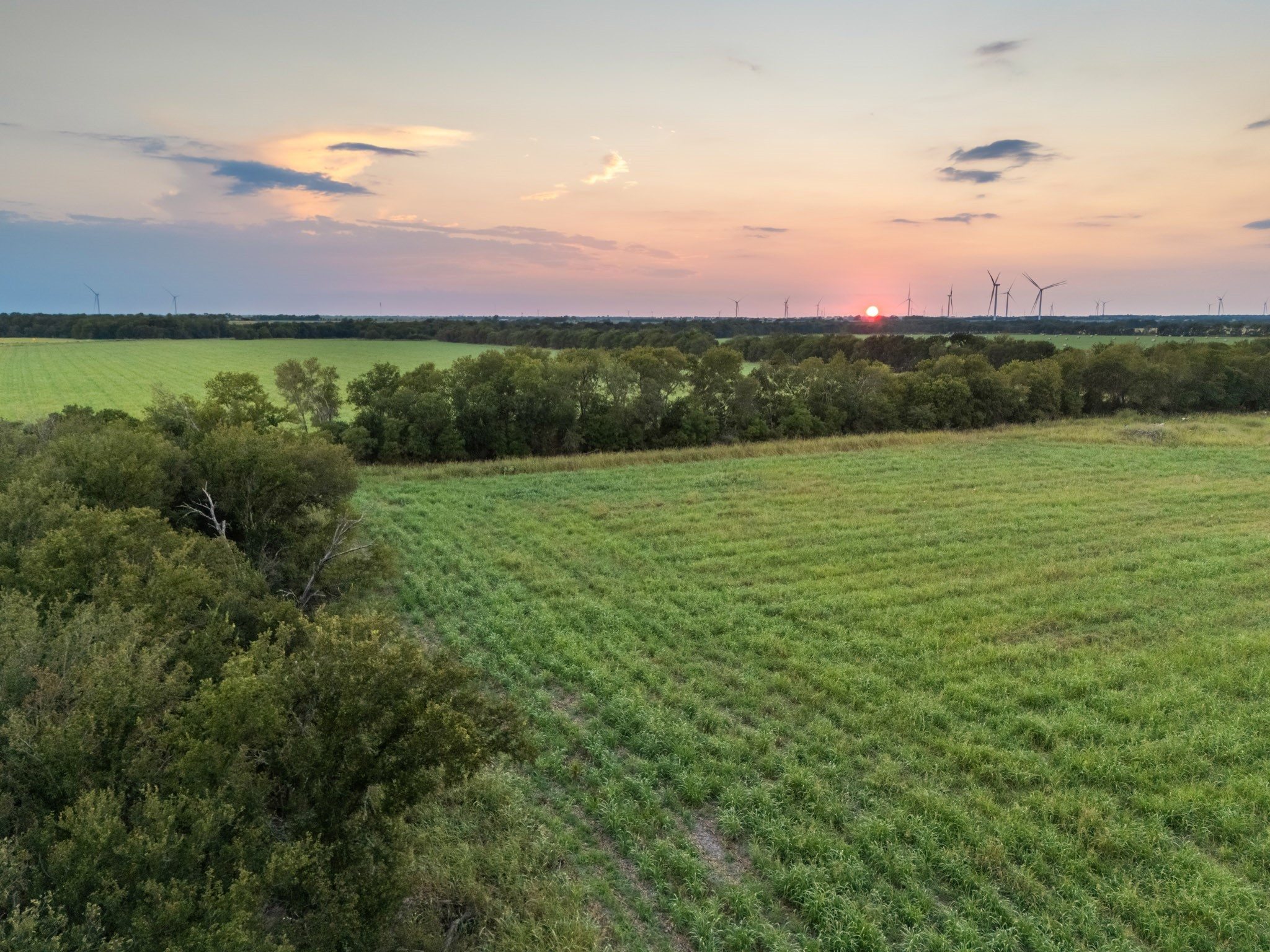Tbd W State Highway 164 Mart TX 76664