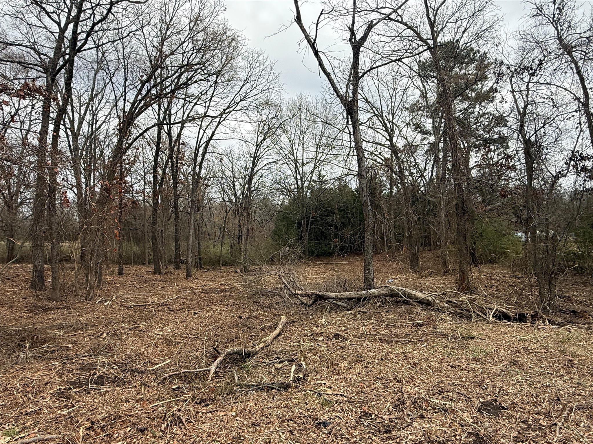 Tbd (lot 7) Florence Street Grand Saline TX 75140
