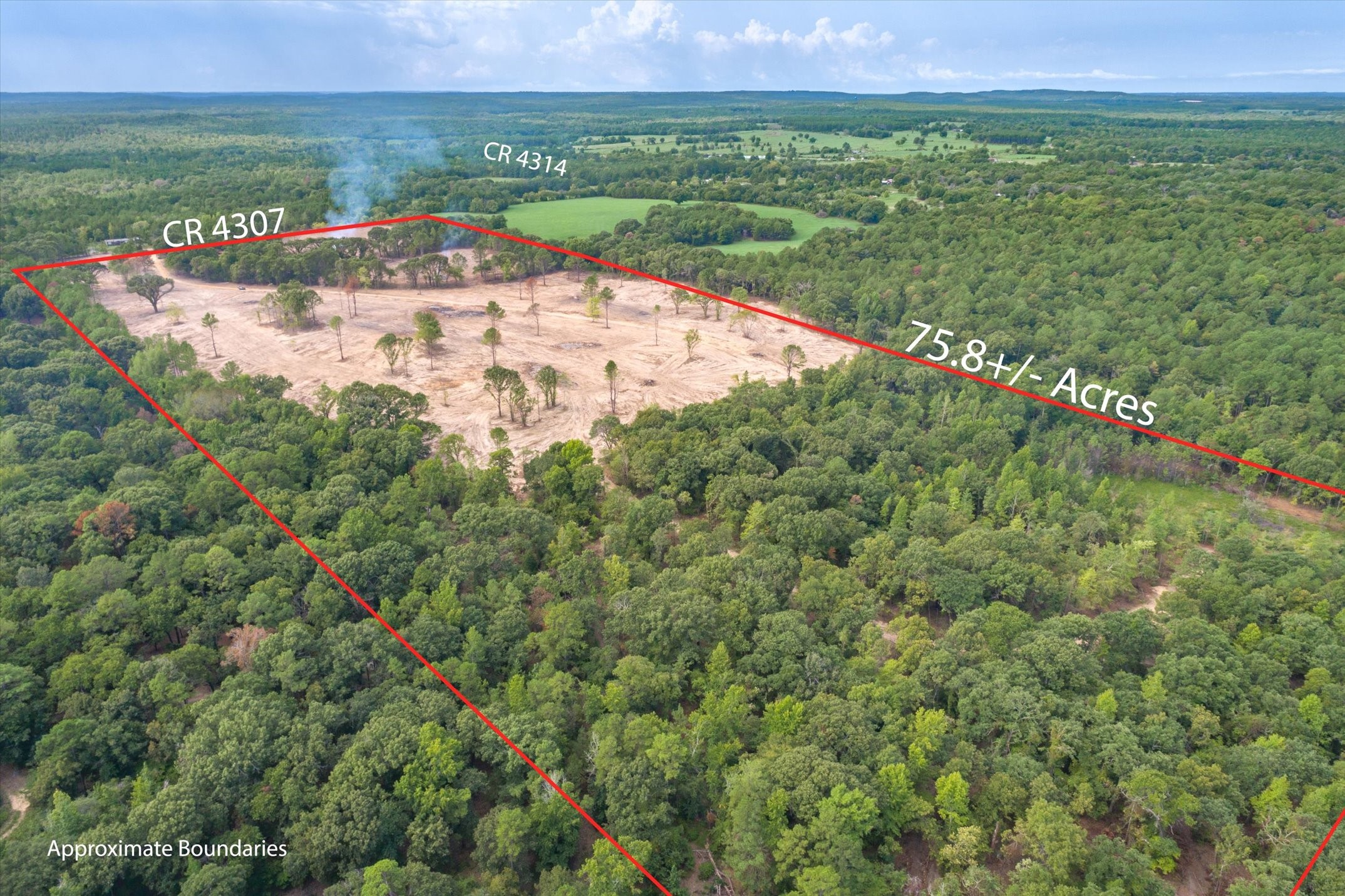 Tract 3 - Tbd County Road 4307 Larue TX 75770