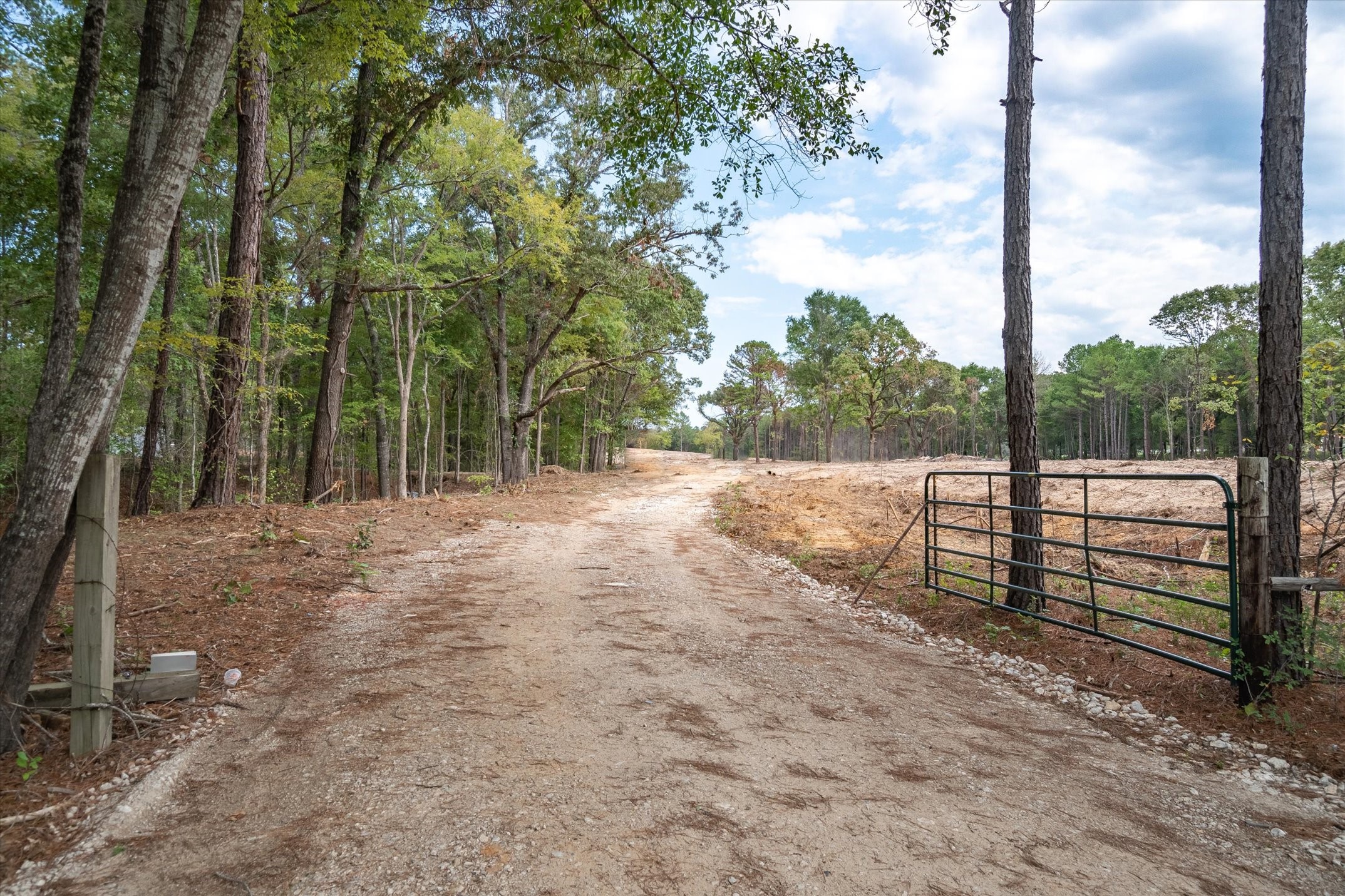 Tract 3 - Tbd County Road 4307 Larue TX 75770