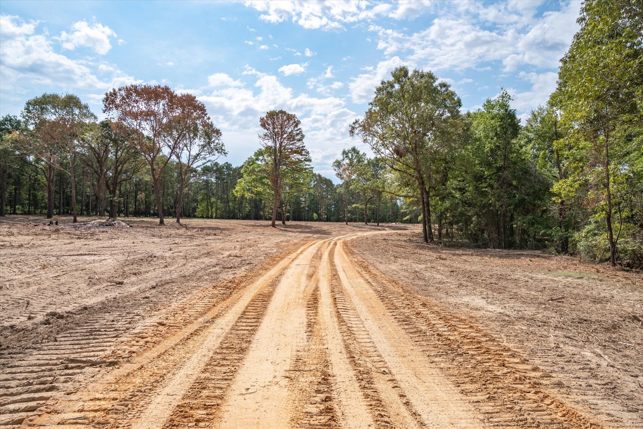 Tract 3 - Tbd County Road 4307 Larue TX 75770