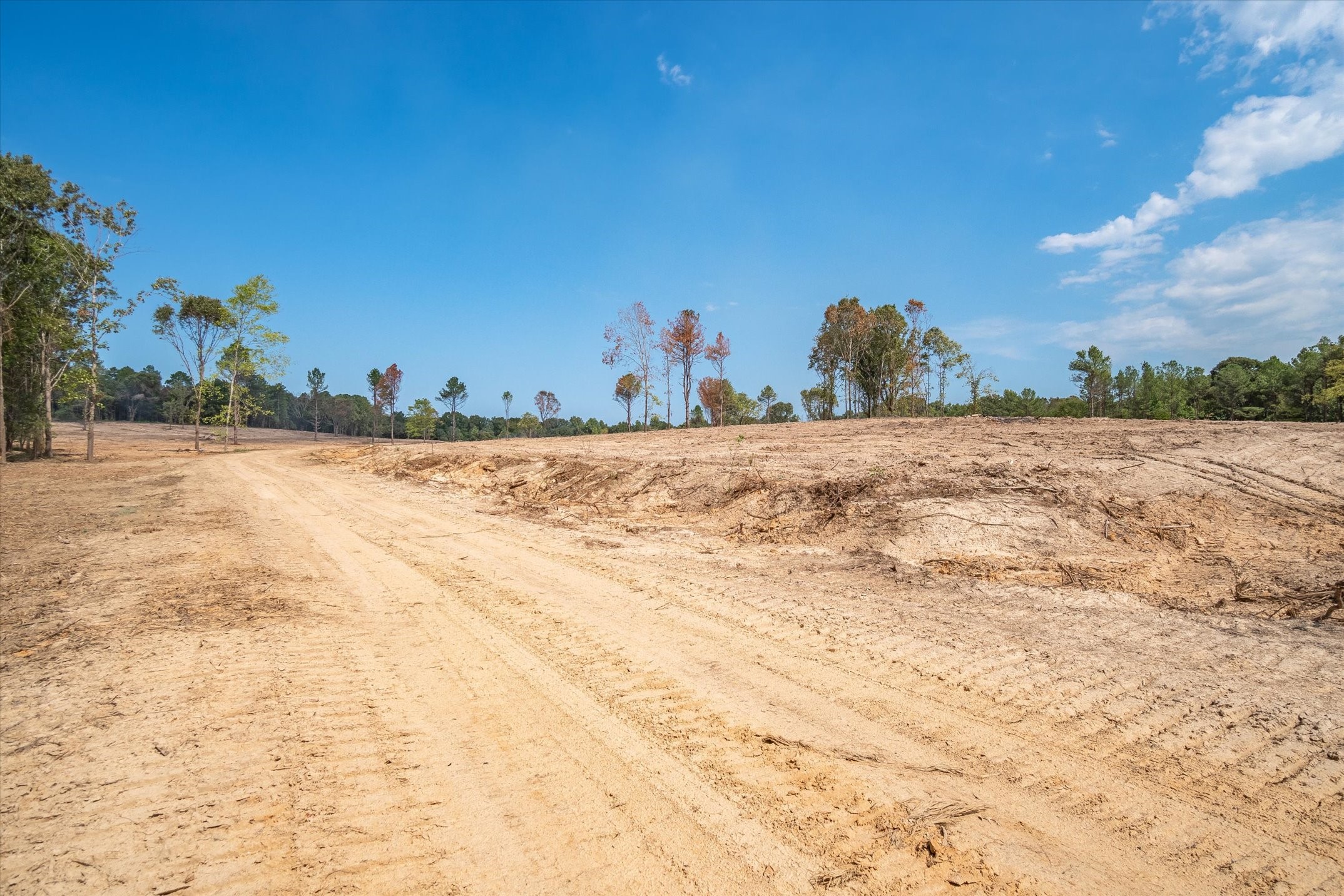 Tract 3 - Tbd County Road 4307 Larue TX 75770