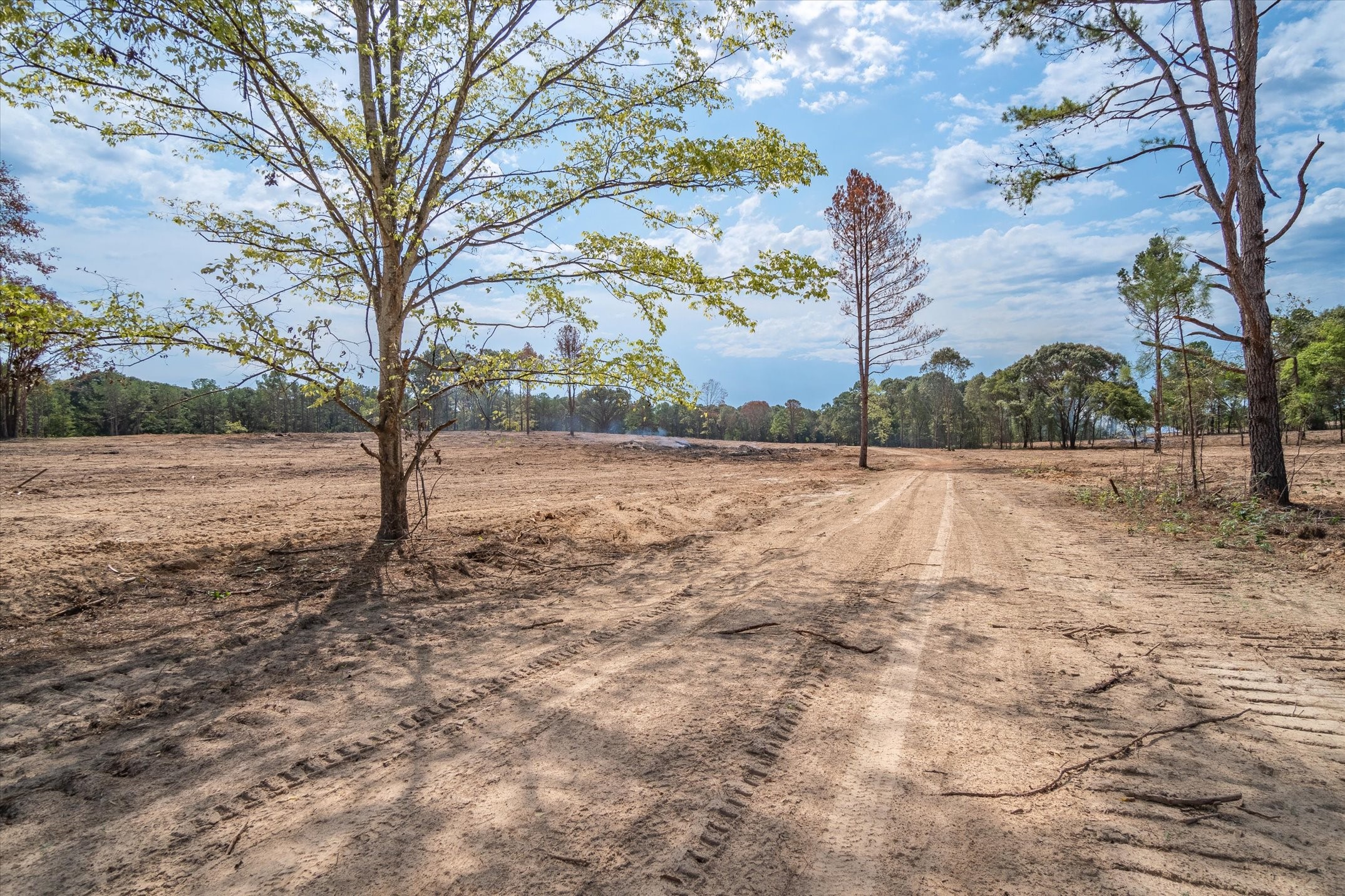 Tract 3 - Tbd County Road 4307 Larue TX 75770
