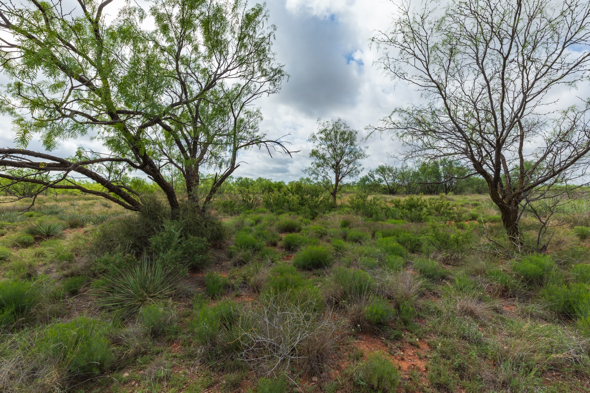 Tbd Pr 4082 Abilene TX 79601