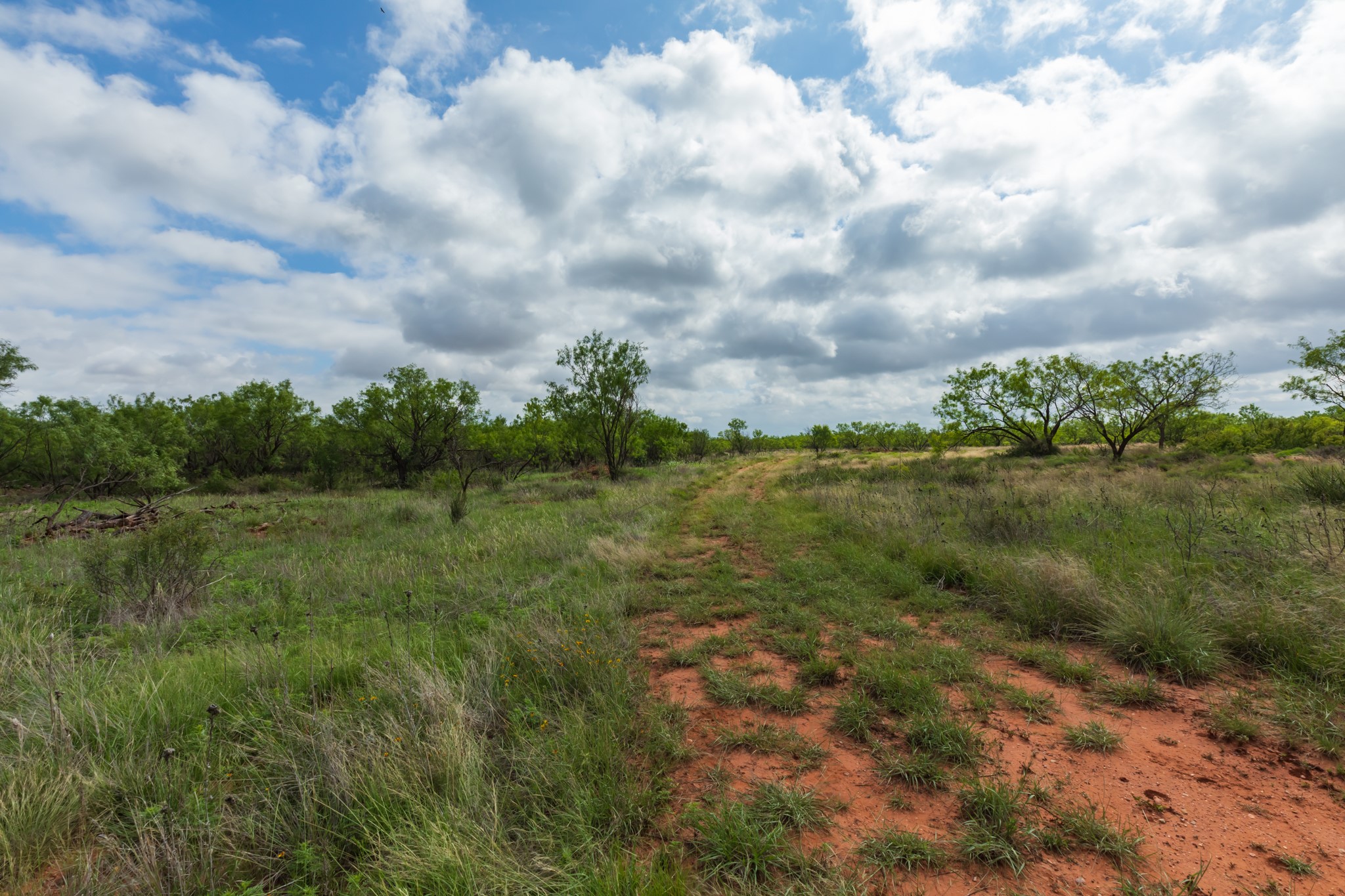 Tbd Pr 4082 Abilene TX 79601