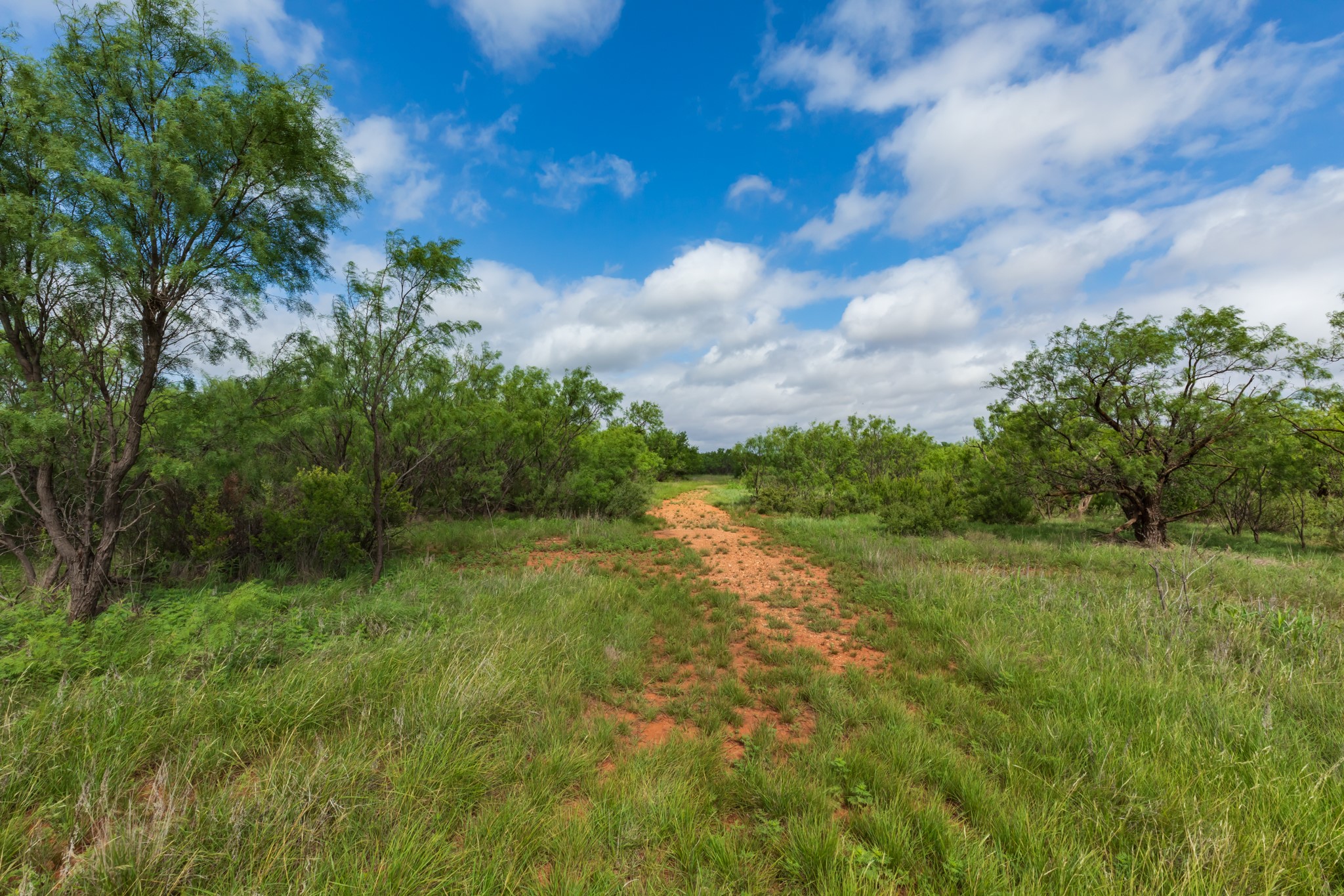 Tbd Pr 4082 Abilene TX 79601