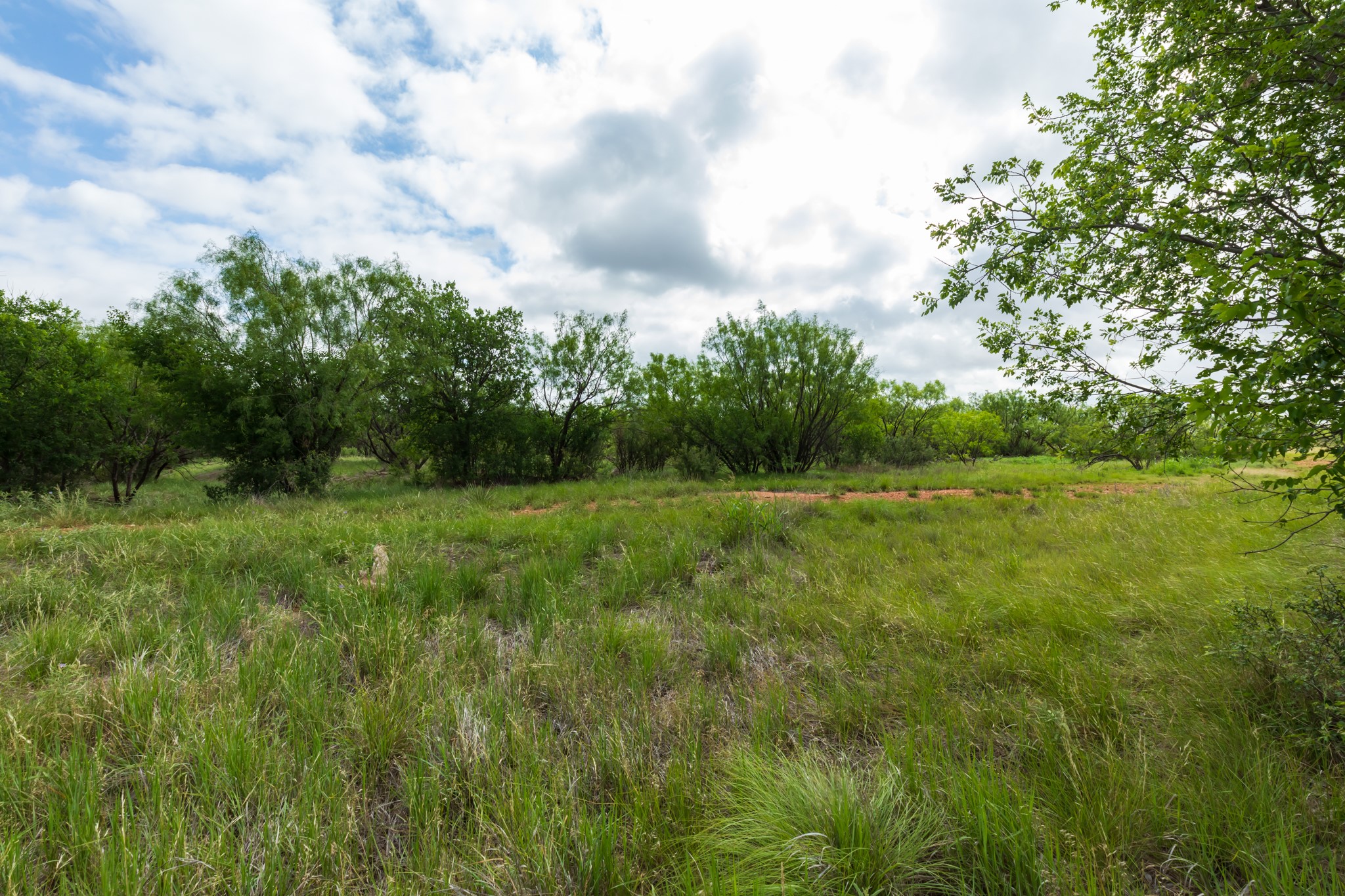 Tbd Pr 4082 Abilene TX 79601