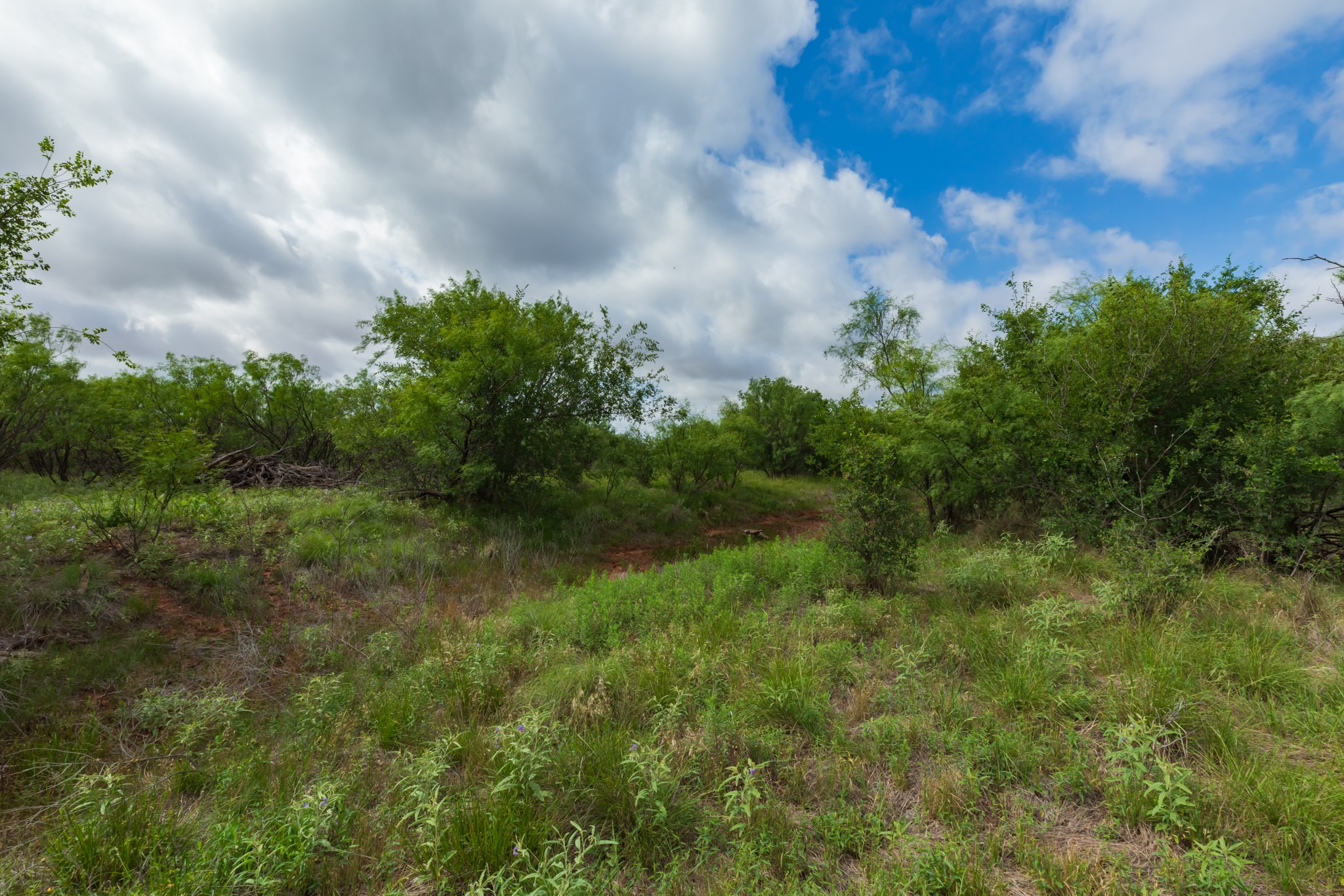Tbd Pr 4082 Abilene TX 79601