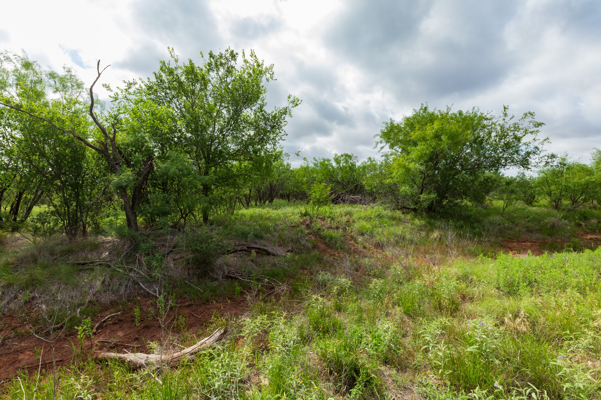 Tbd Pr 4082 Abilene TX 79601