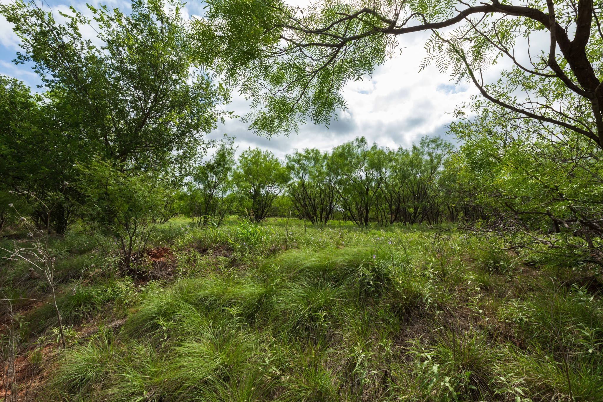 Tbd Pr 4082 Abilene TX 79601