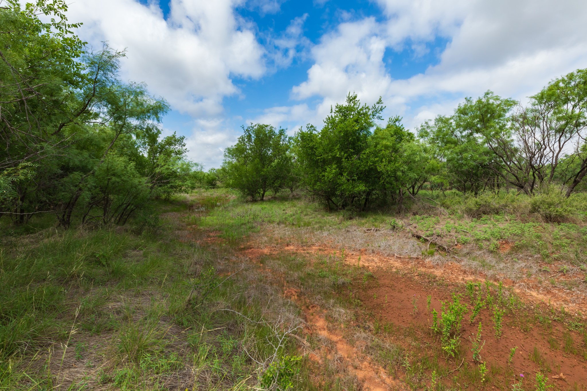 Tbd Pr 4082 Abilene TX 79601