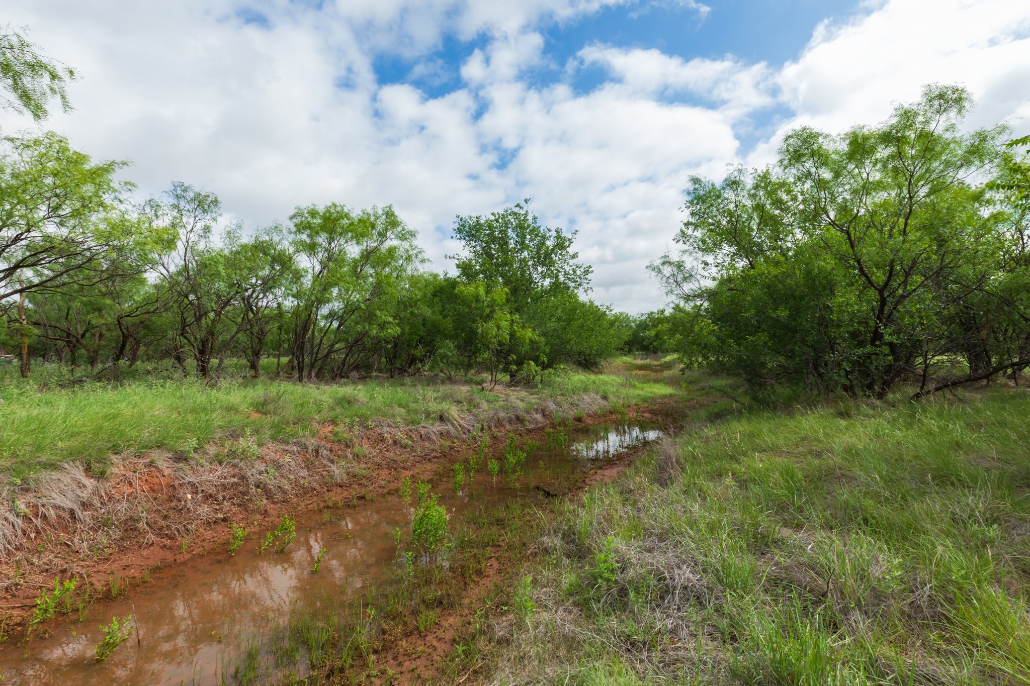 Tbd Pr 4082 Abilene TX 79601