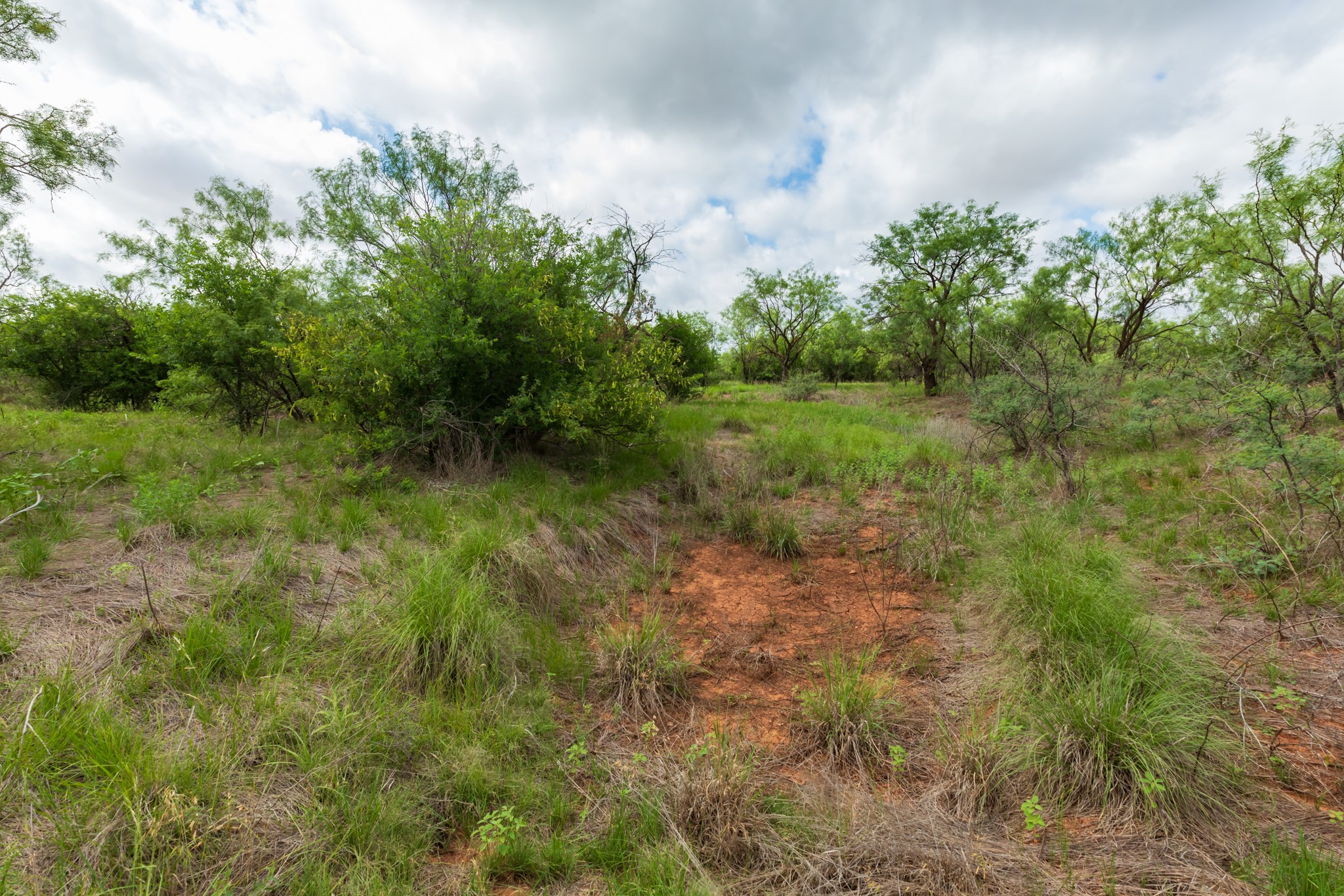 Tbd Pr 4082 Abilene TX 79601