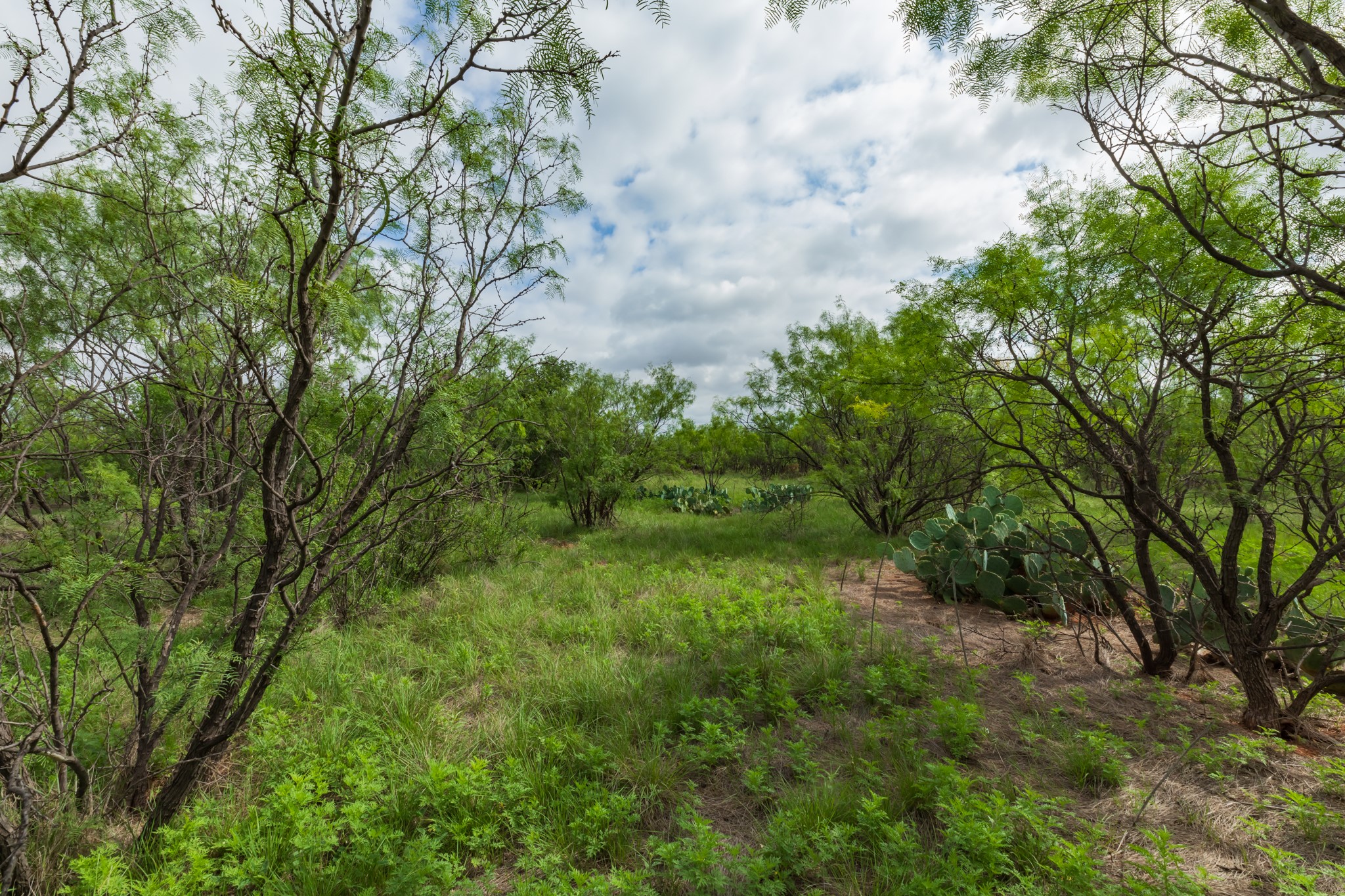 Tbd Pr 4082 Abilene TX 79601