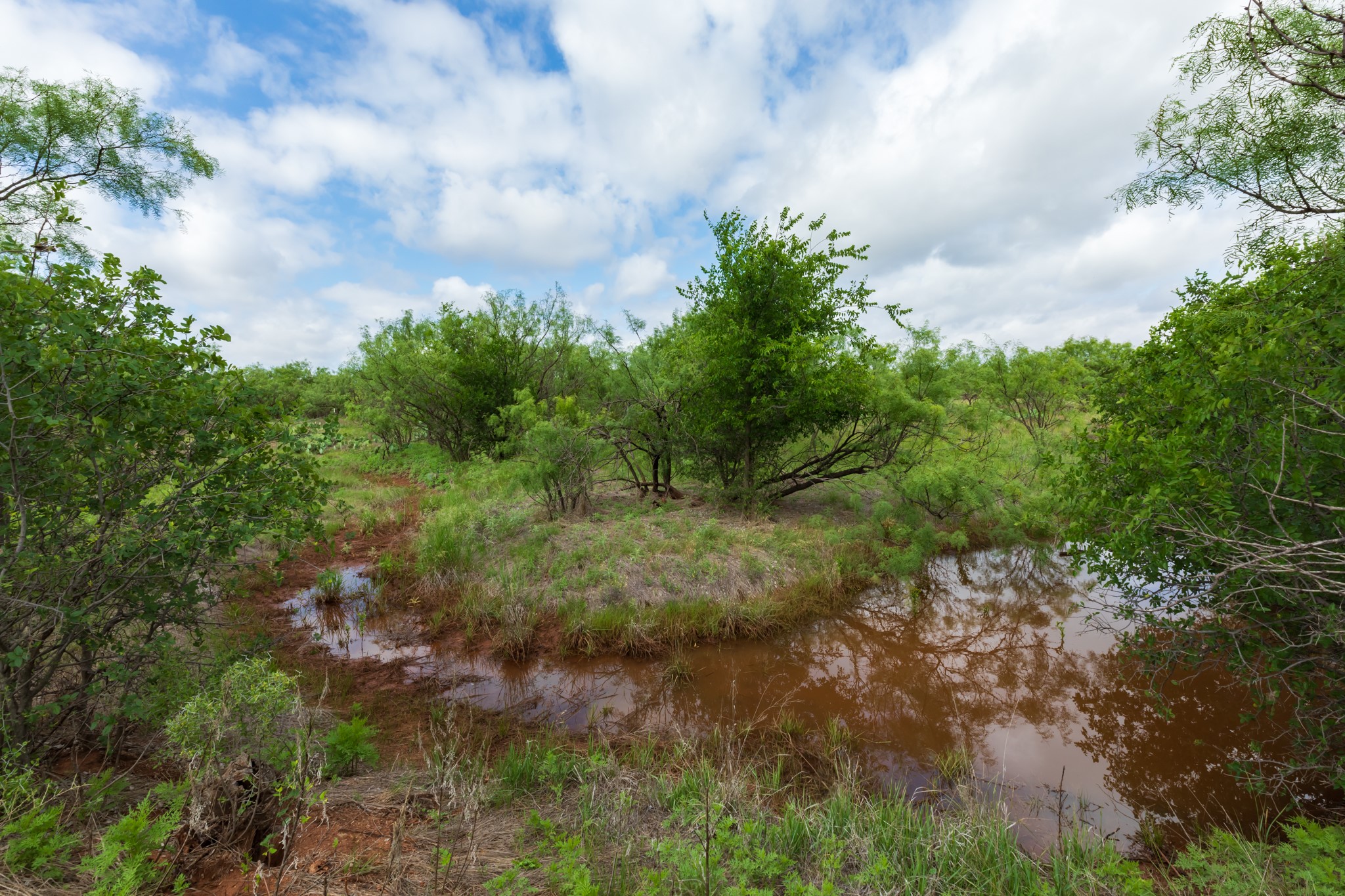 Tbd Pr 4082 Abilene TX 79601