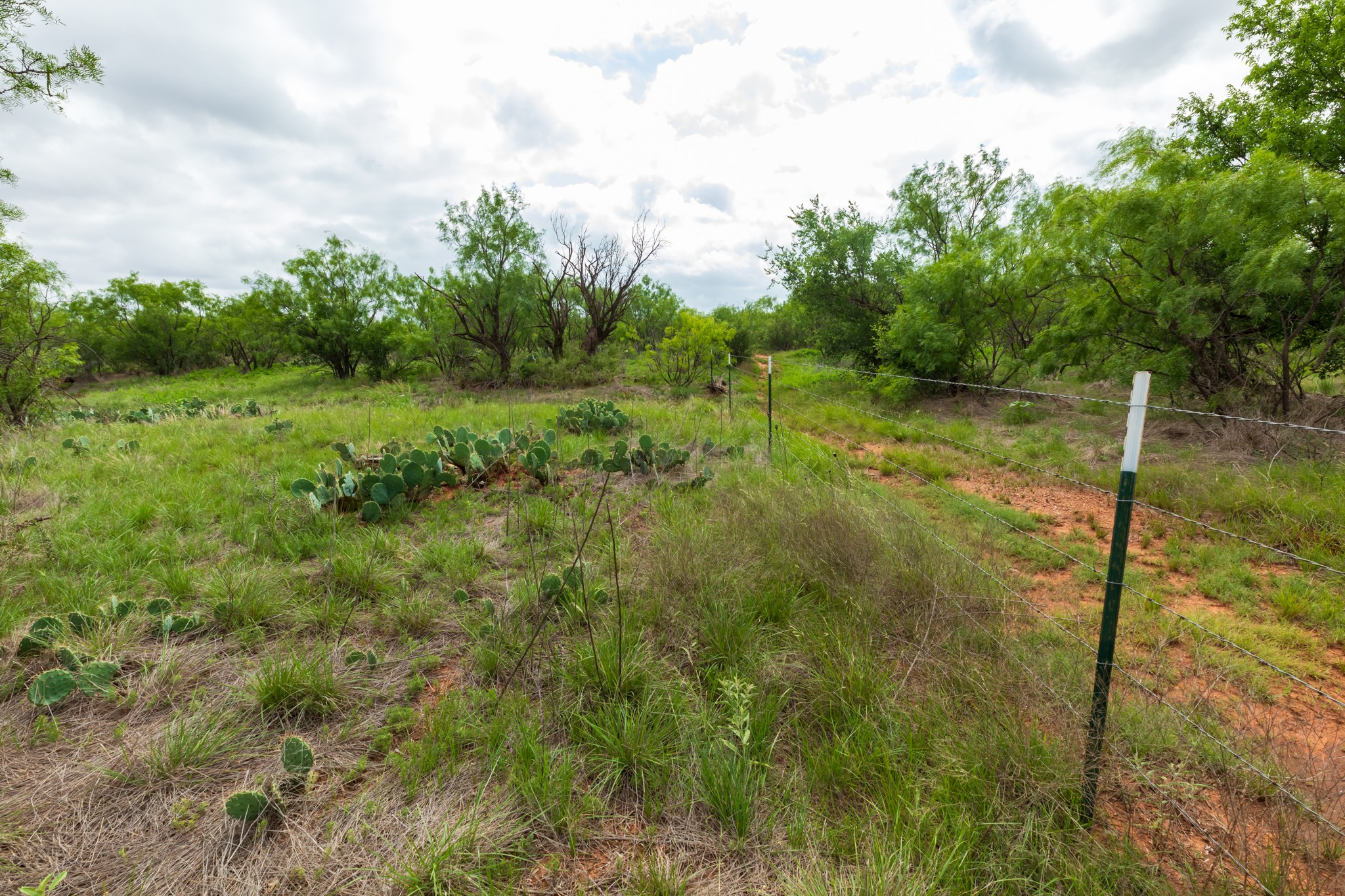 Tbd Pr 4082 Abilene TX 79601
