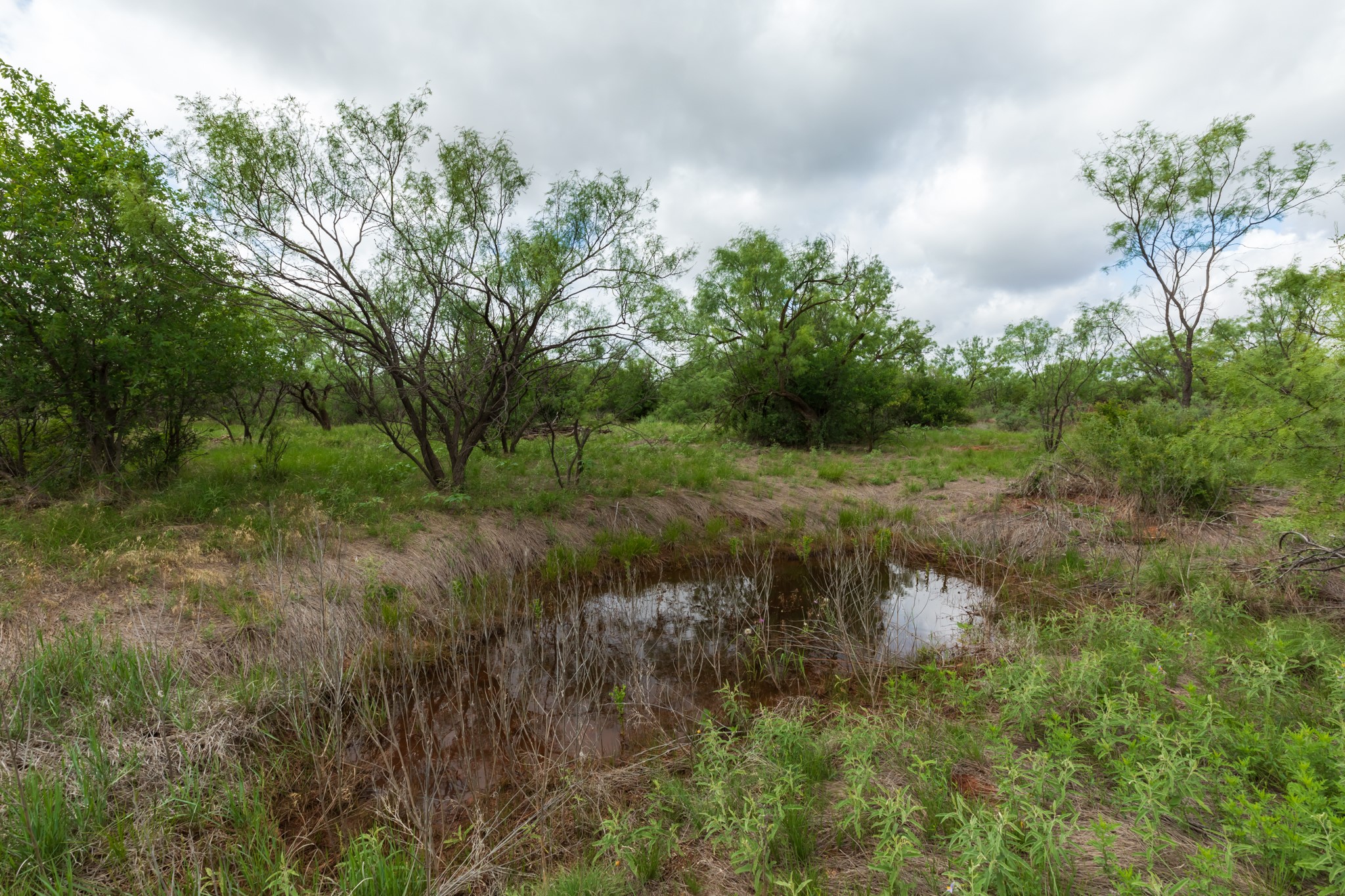 Tbd Pr 4082 Abilene TX 79601