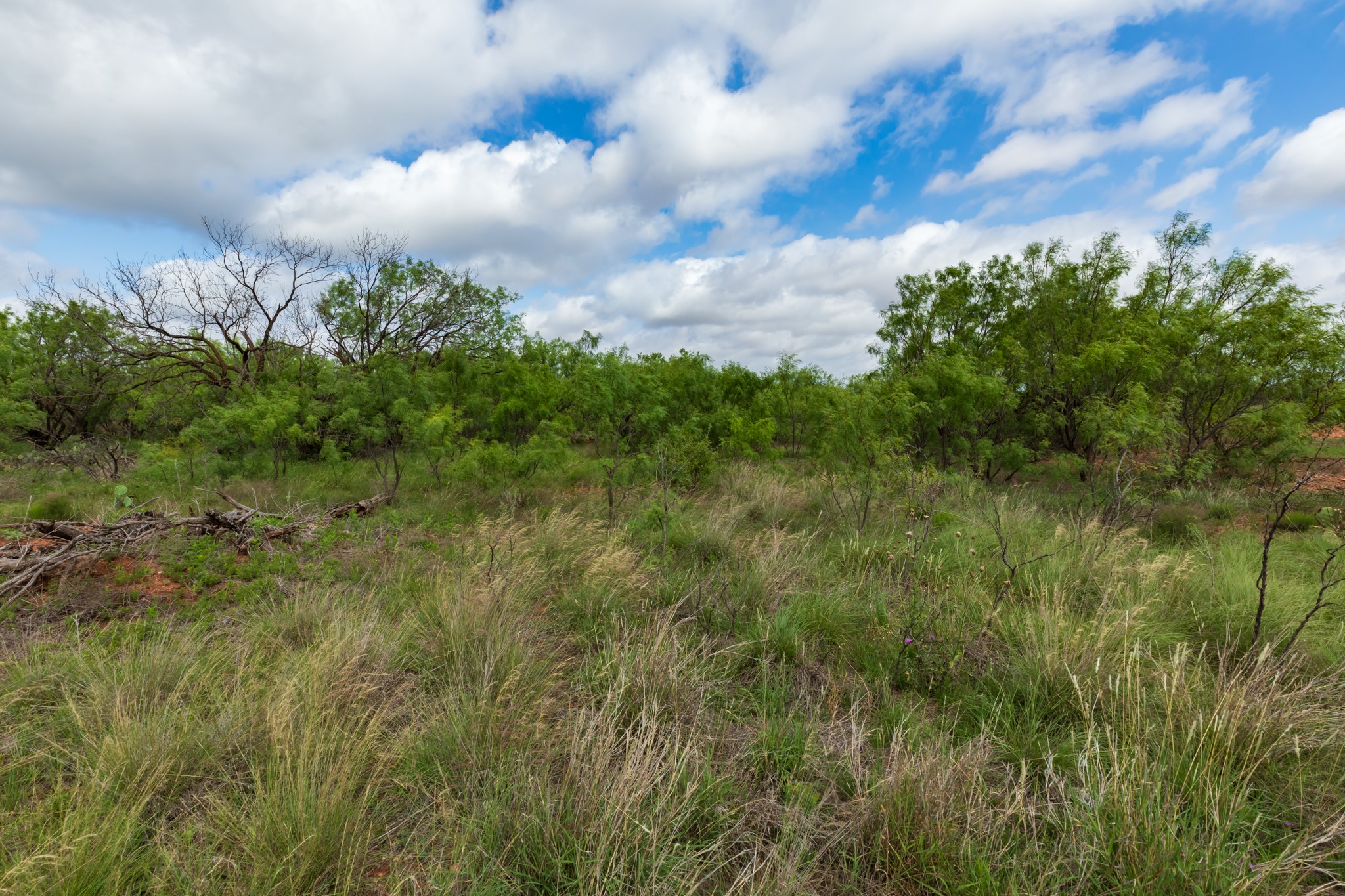 Tbd Pr 4082 Abilene TX 79601