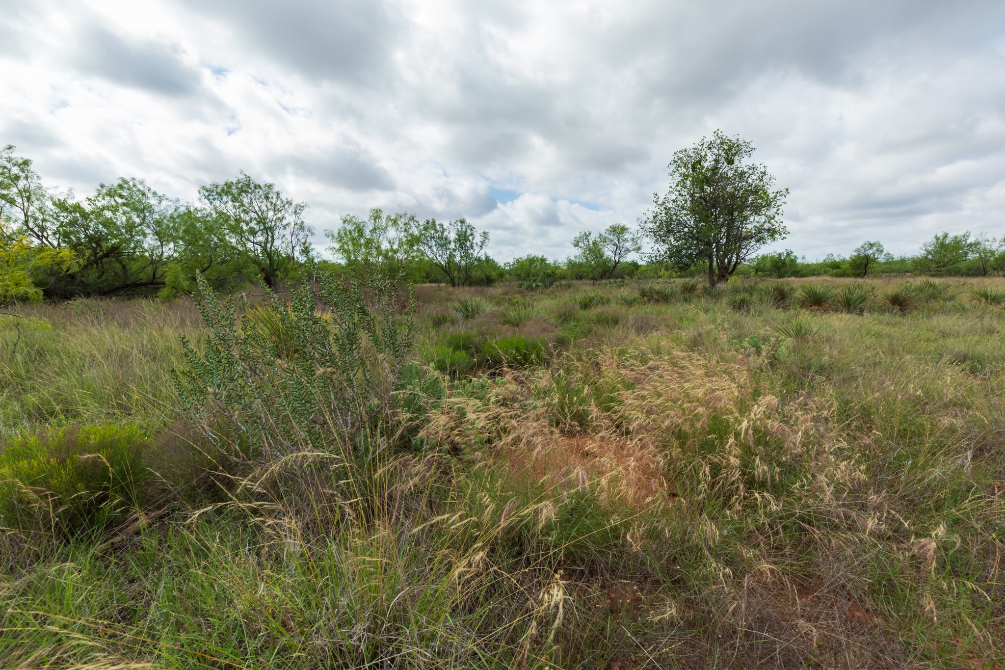 Tbd Pr 4082 Abilene TX 79601