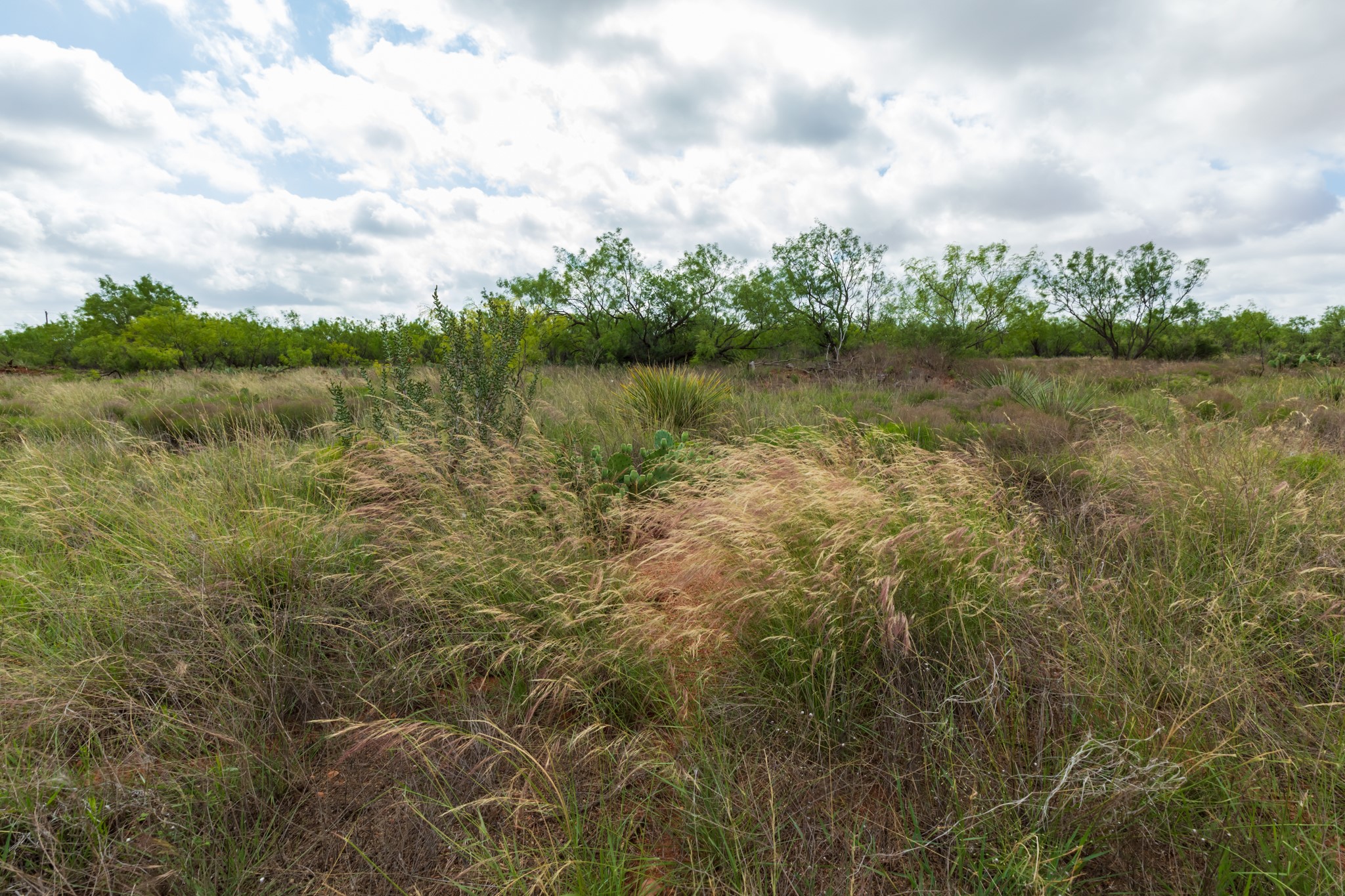 Tbd Pr 4082 Abilene TX 79601