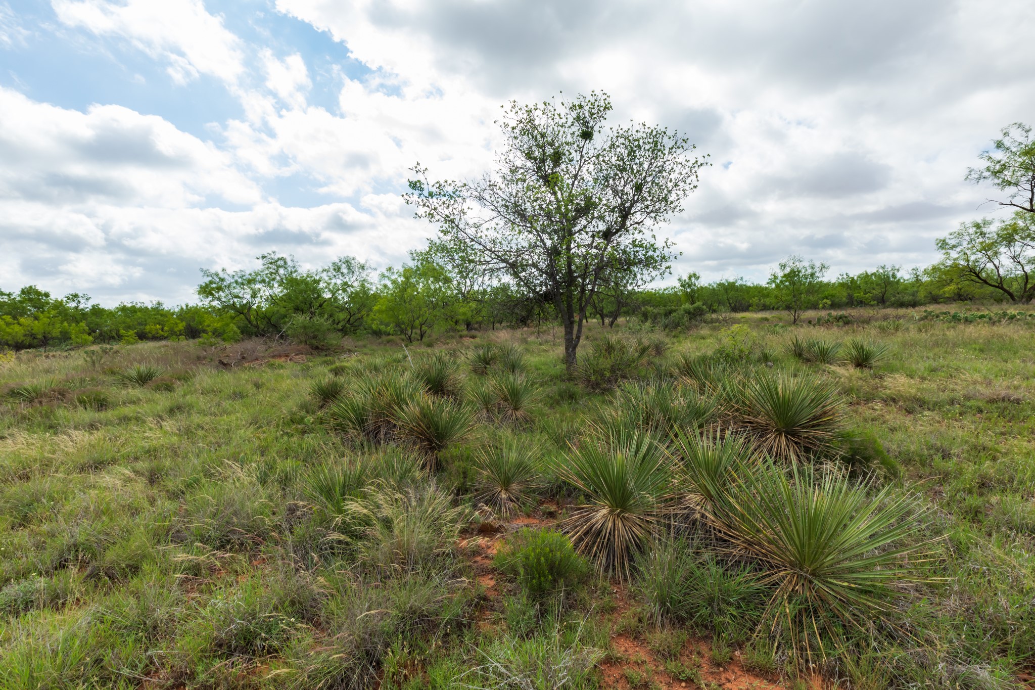 Tbd Pr 4082 Abilene TX 79601