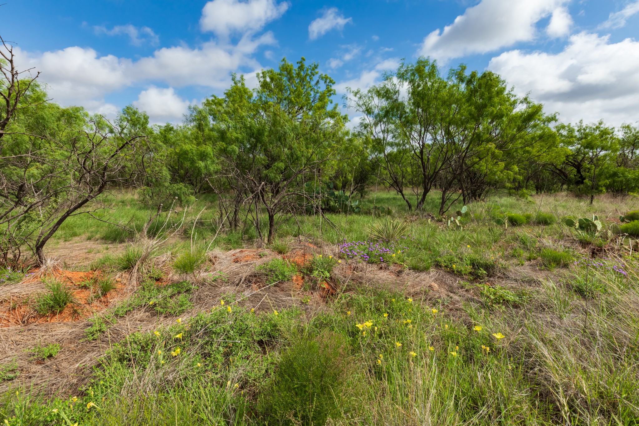 Tbd Pr 4082 Abilene TX 79601