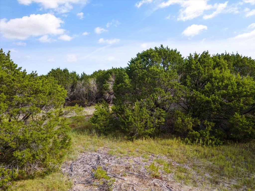 1005 County Road 407a Nemo TX 76070