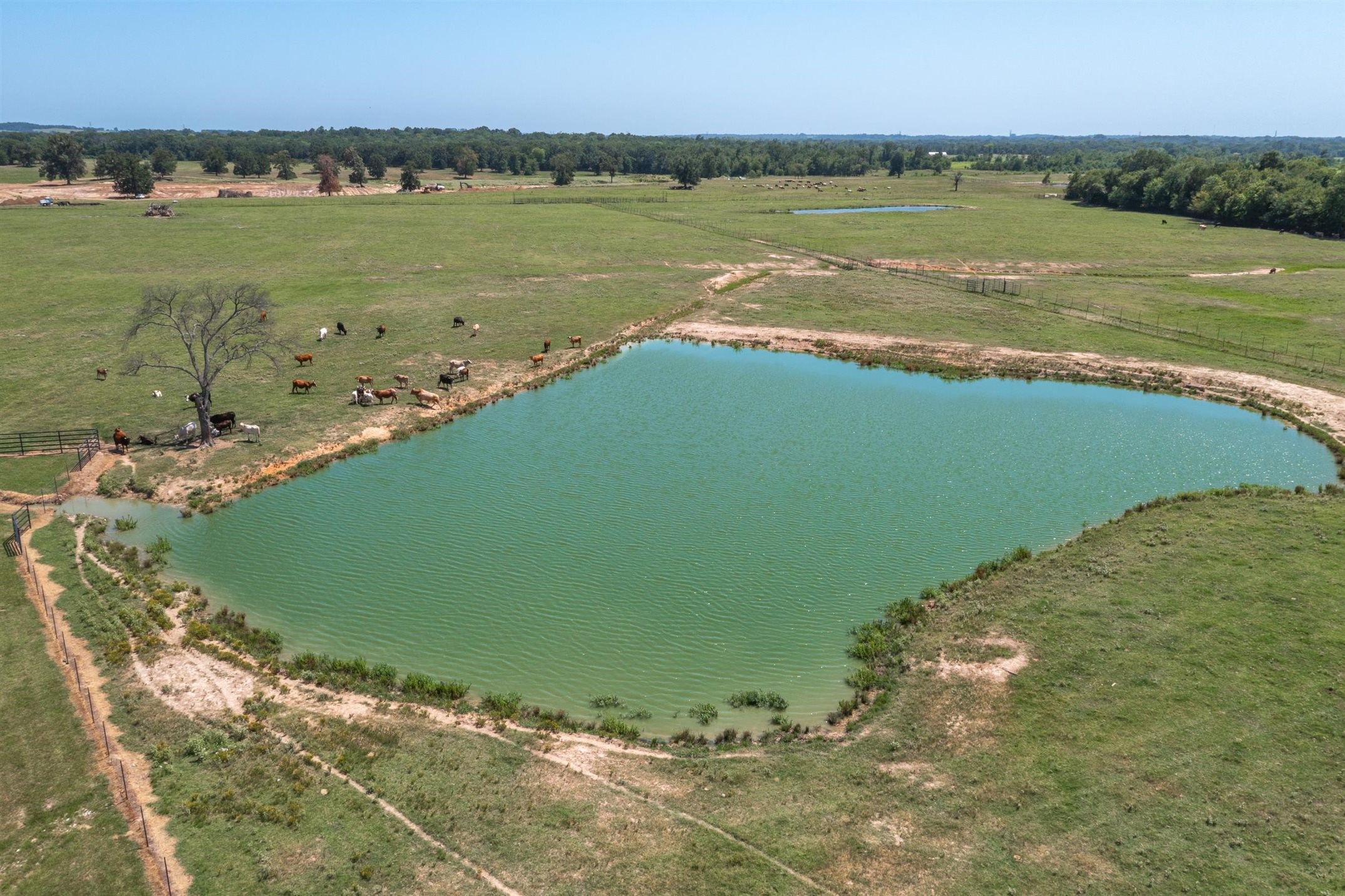 000 Vz County Road 2511 Canton TX 75103