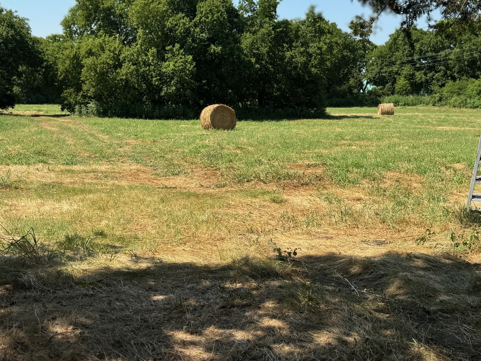 1816 Cr 661 Fm-2194 Farmersville TX 75442
