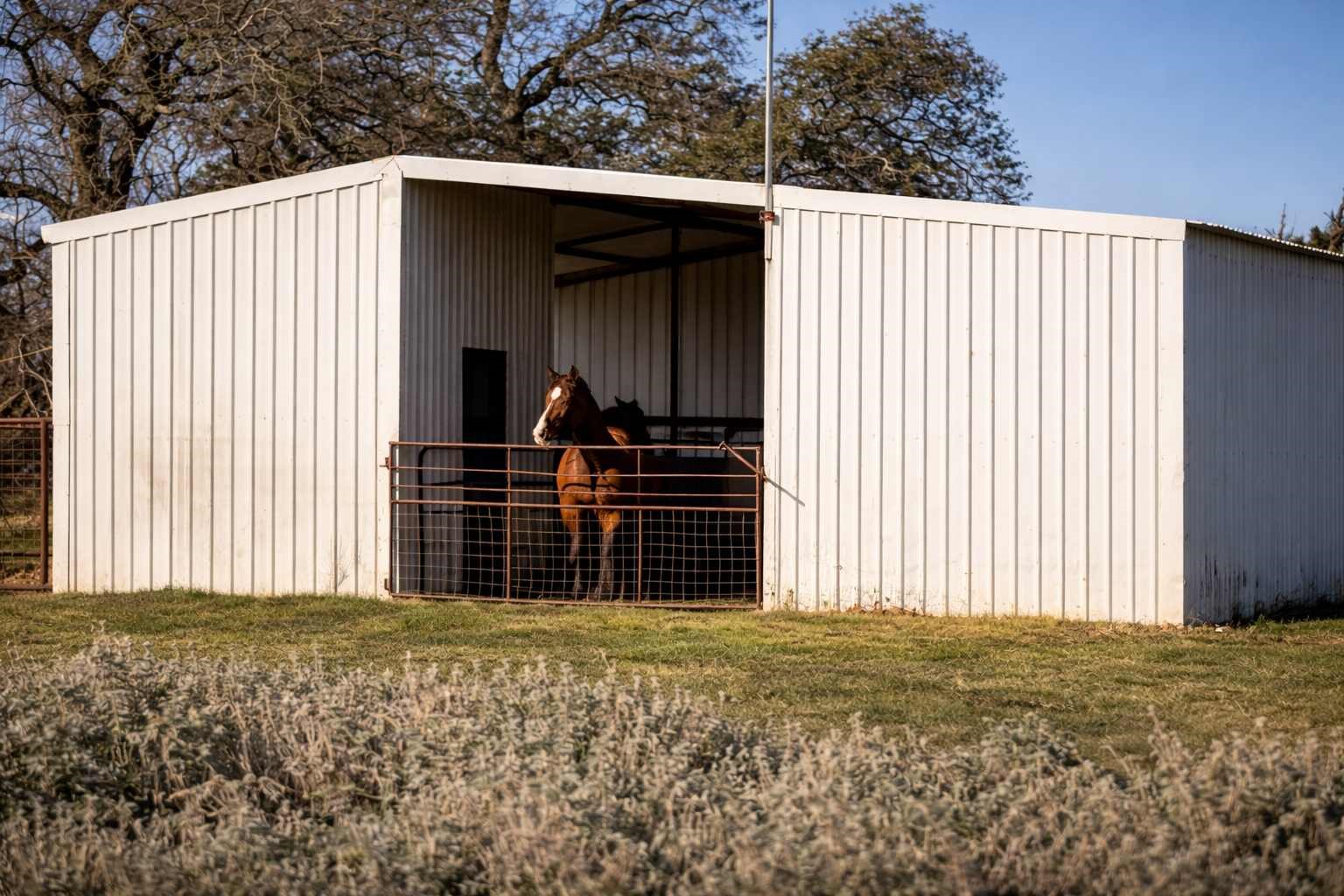 360 Cr 632 Hamilton TX 76531