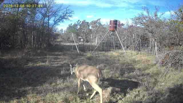 360 Cr 632 Hamilton TX 76531