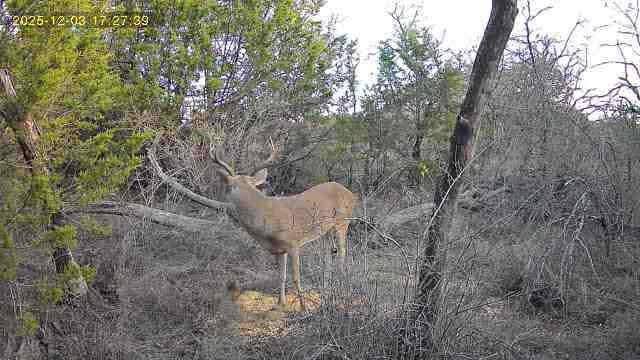 360 Cr 632 Hamilton TX 76531