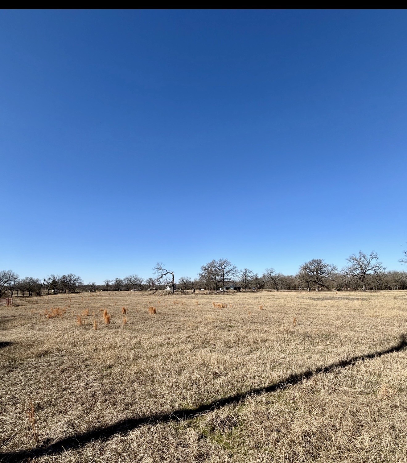 Tbd County Road 1200 Athens TX 75751