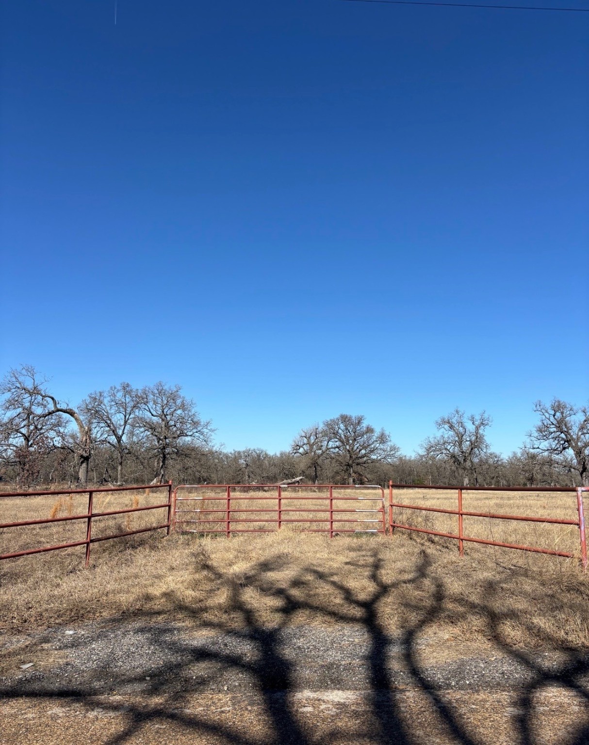Tbd County Road 1200 Athens TX 75751