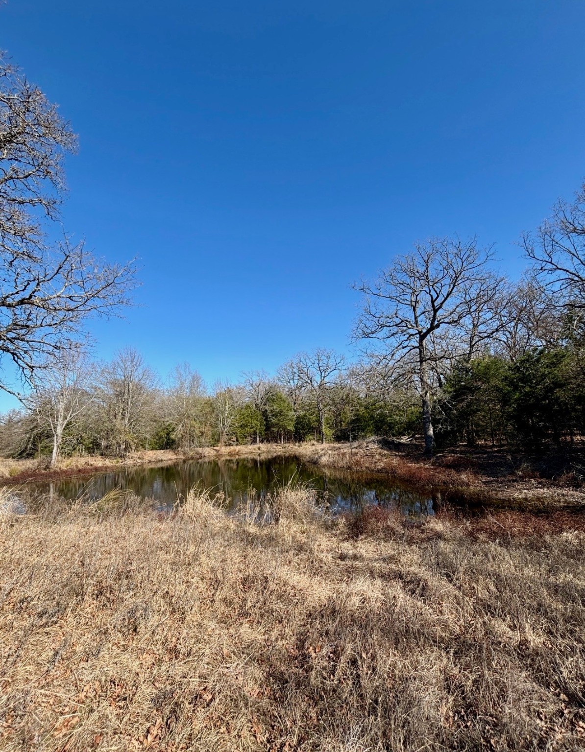 Tbd County Road 1200 Athens TX 75751