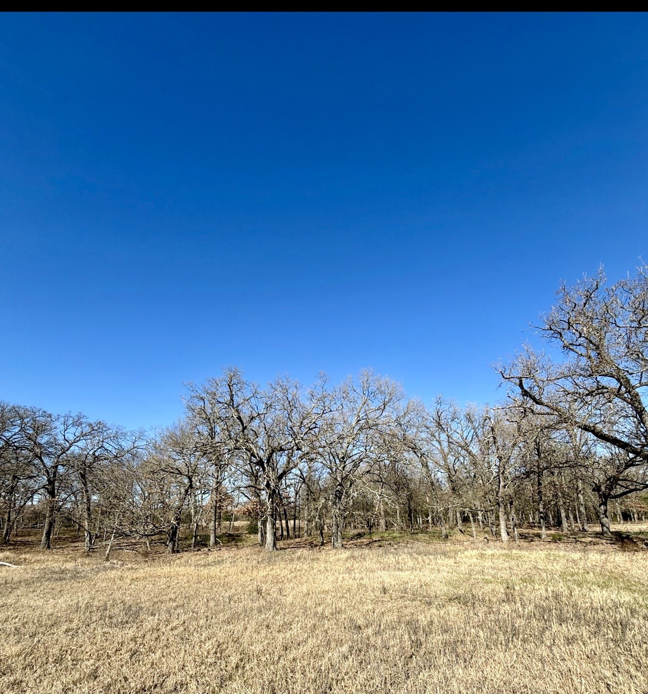 Tbd County Road 1200 Athens TX 75751
