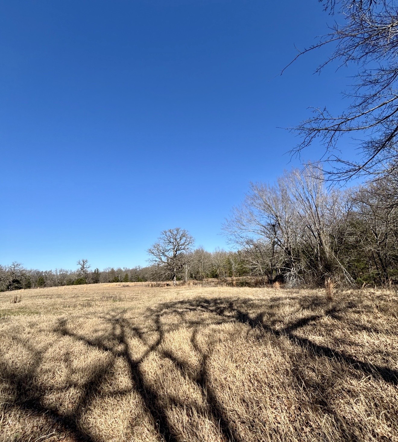 Tbd County Road 1200 Athens TX 75751