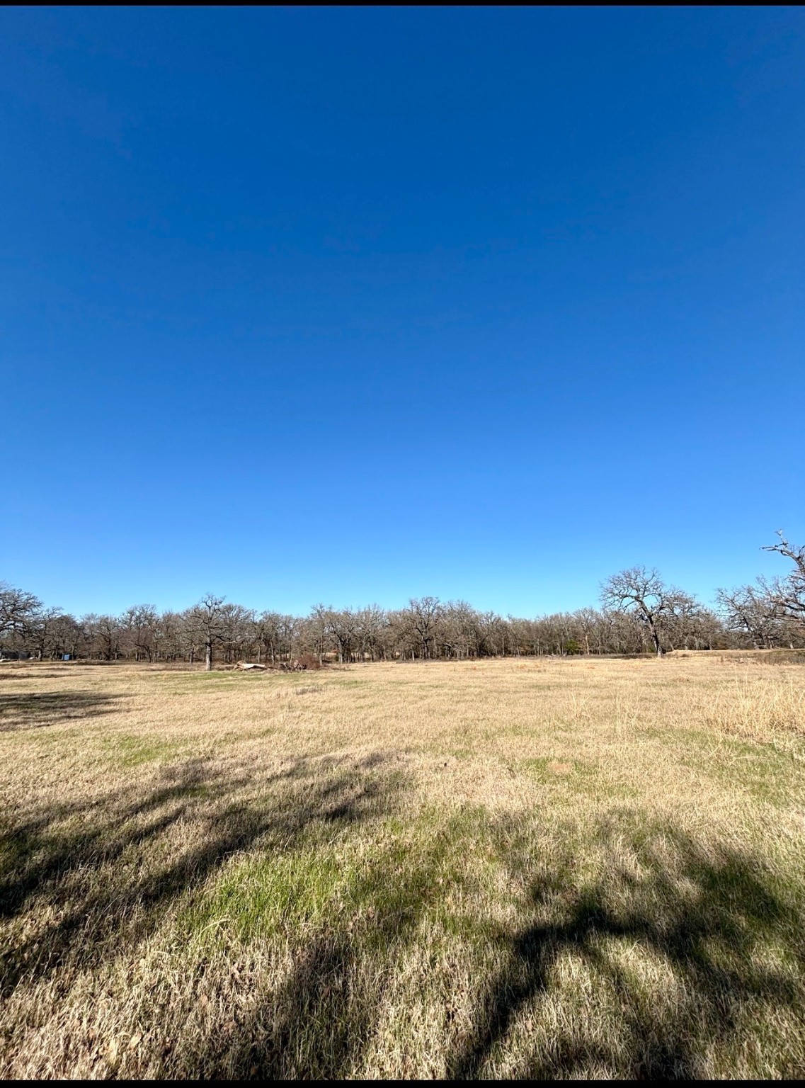 Tbd County Road 1200 Athens TX 75751