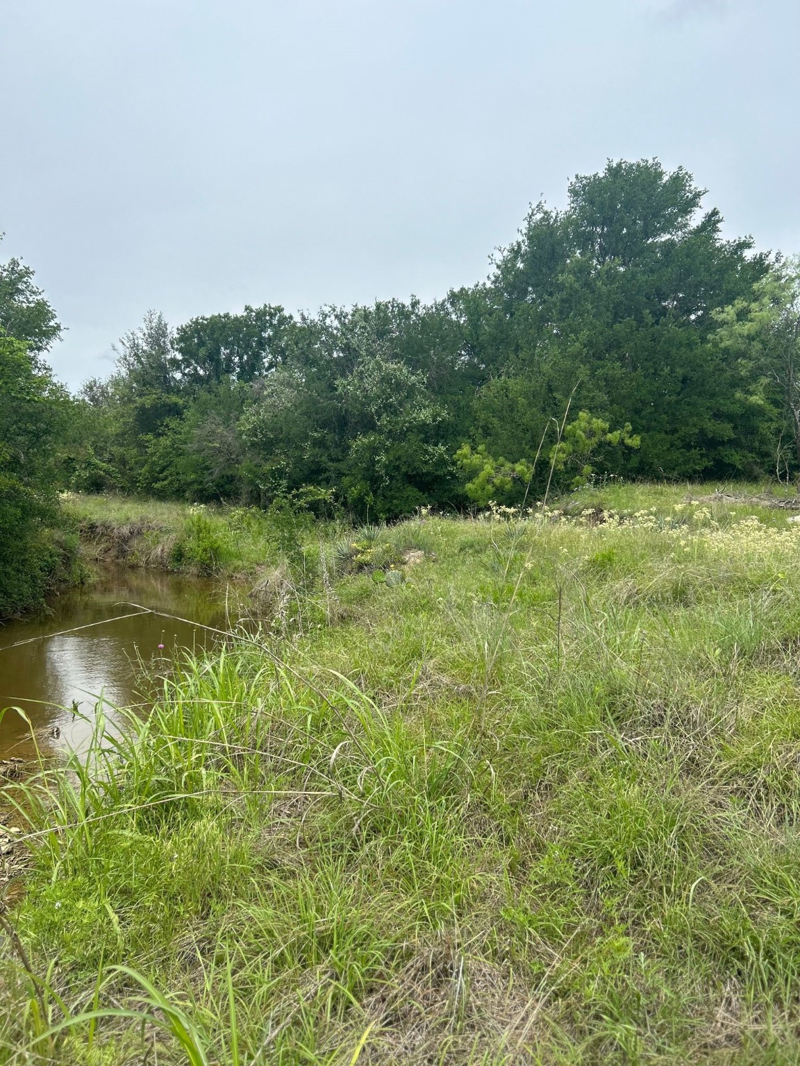 Tbd Round Up Court Stephenville TX 76401